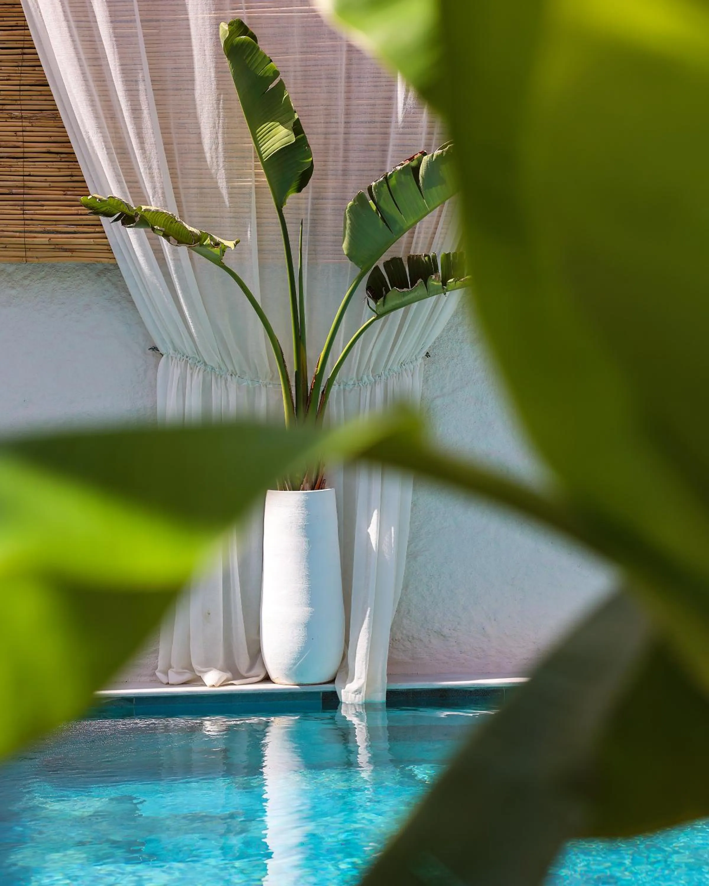 Pool view in Voger Alaçatı Köyiçi