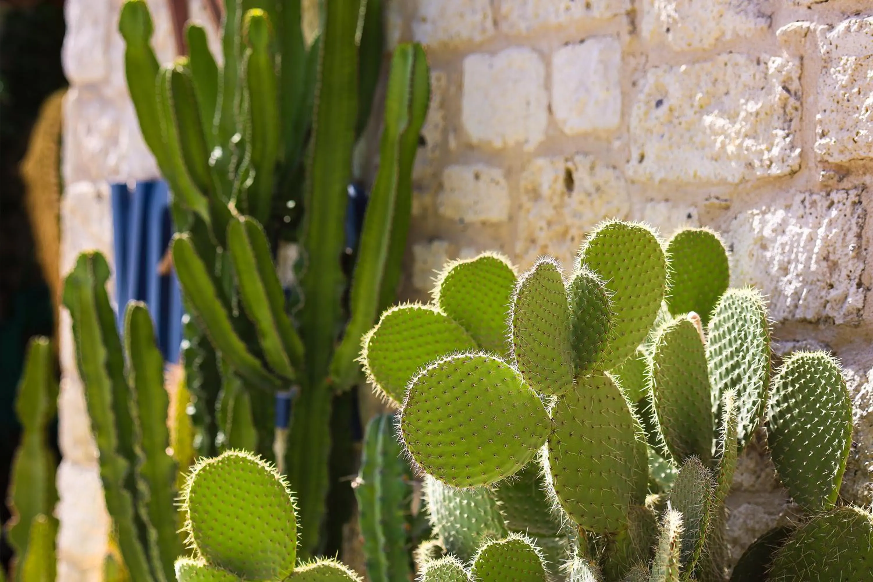 Facade/entrance in Voger Alaçatı Köyiçi