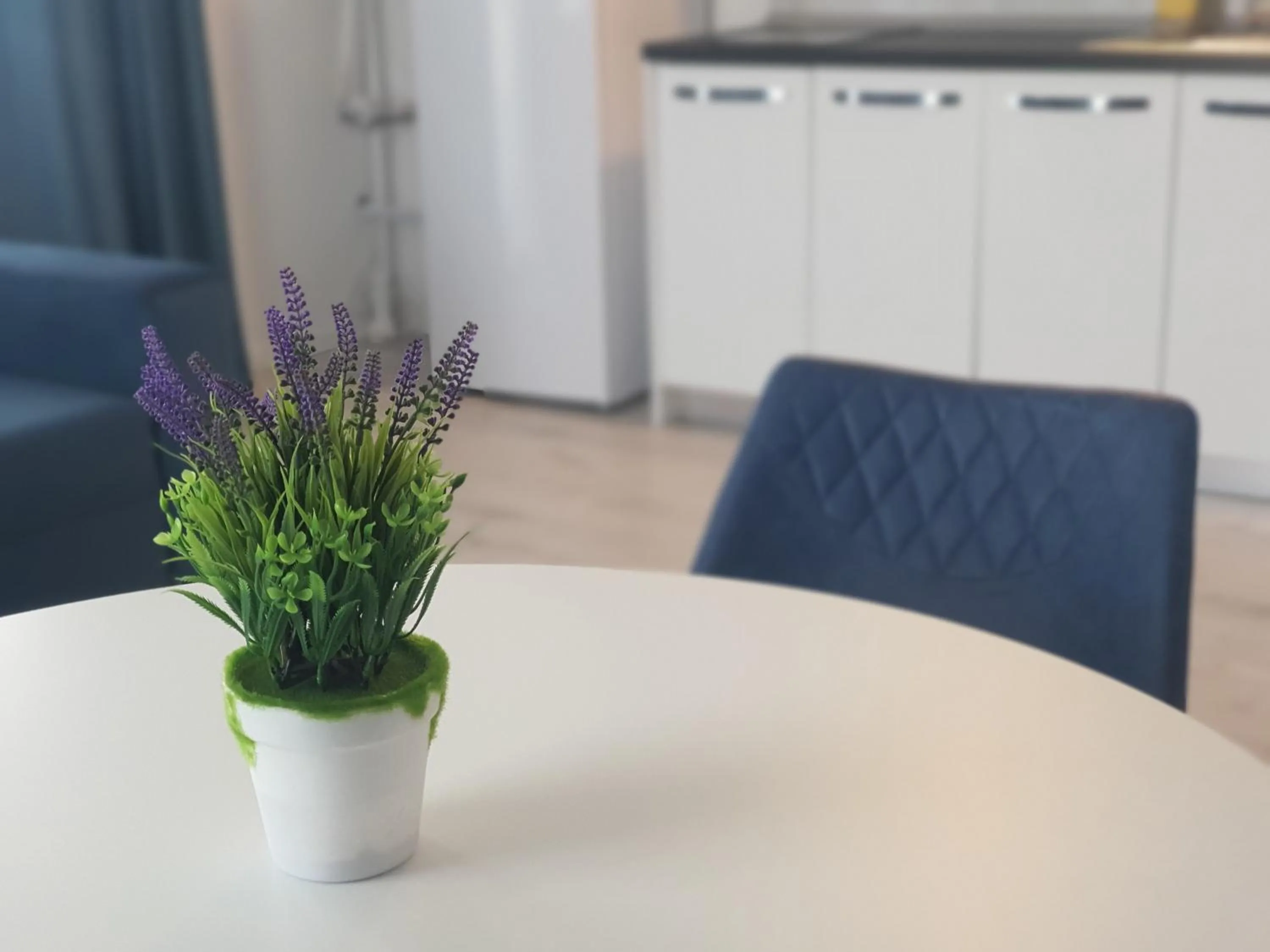 Kitchen or kitchenette in Grey Residence Apartments