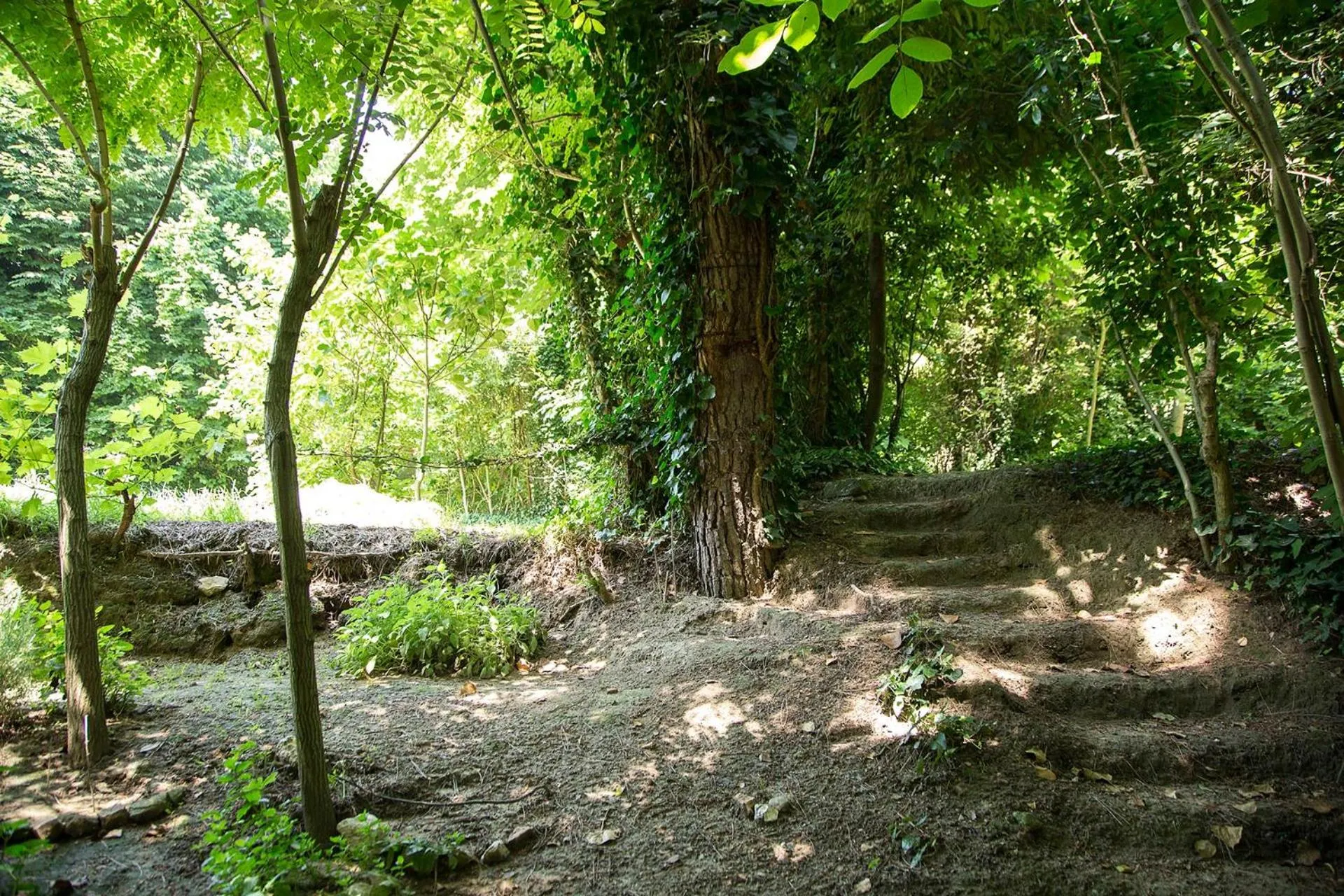 Natural landscape in Villa Cattani Stuart XVII secolo