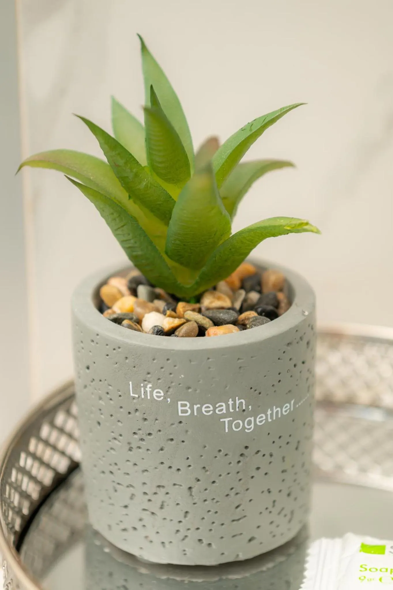 Decorative detail in Hotel Francesca