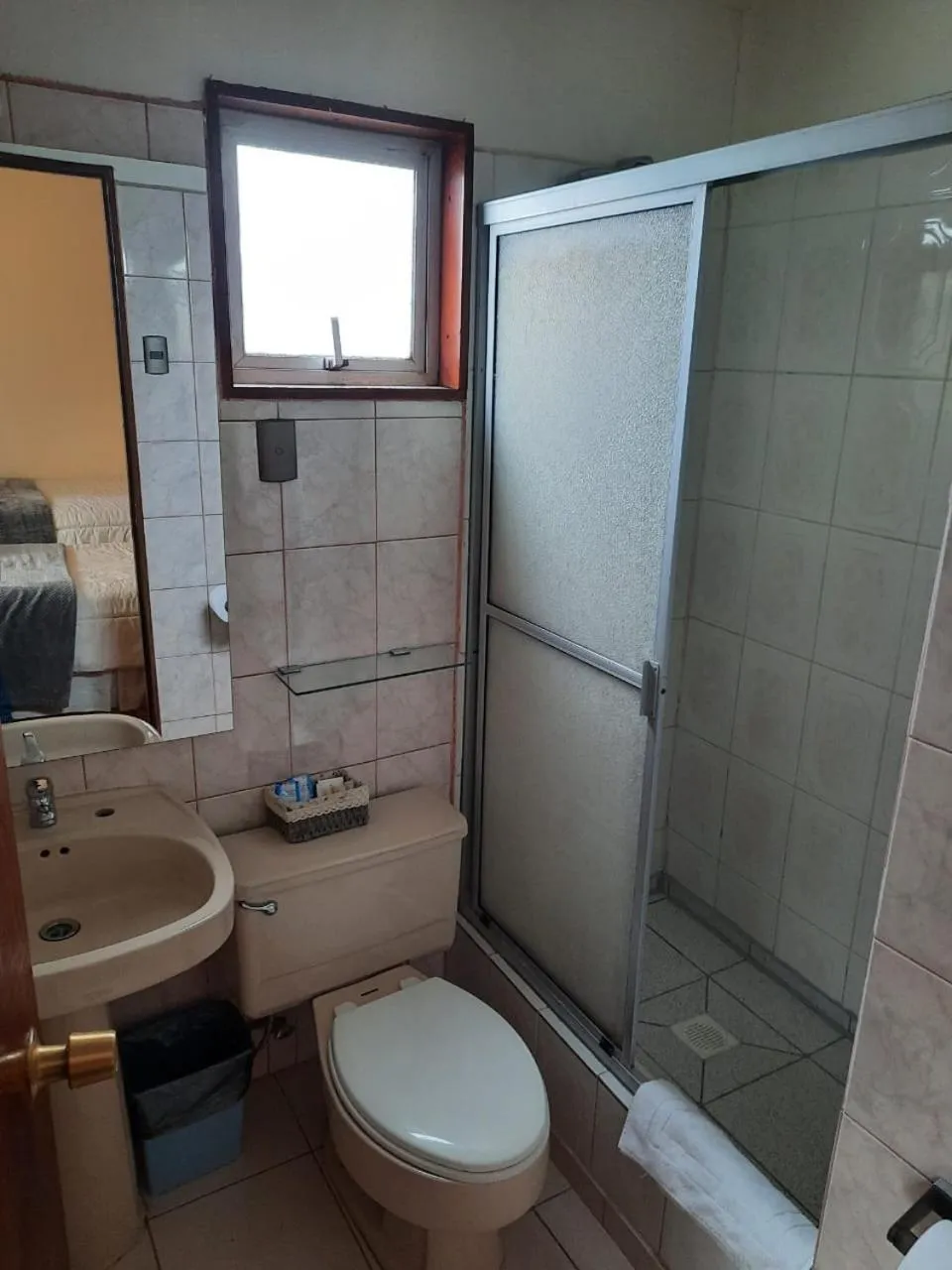 Shower in Hostal Los Pinos