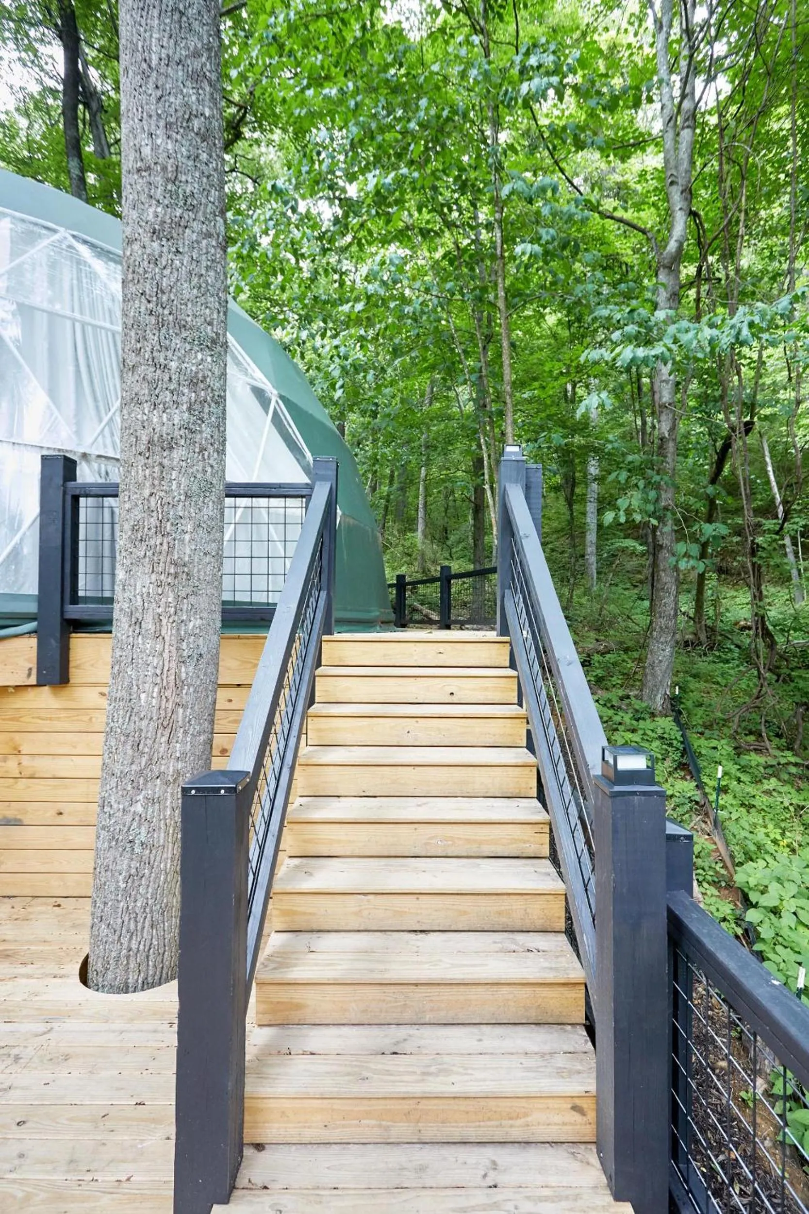 The Glamping Collective