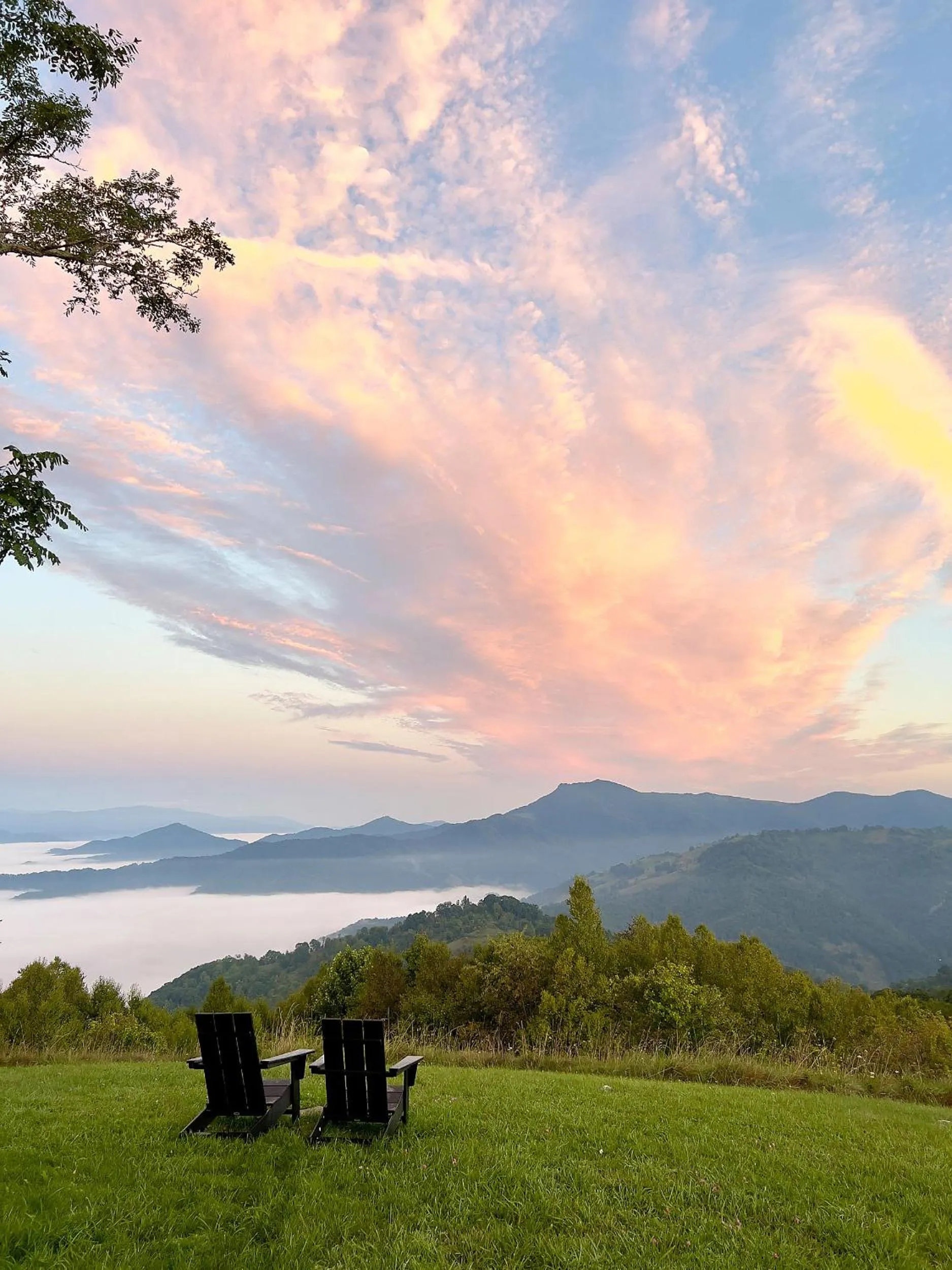 The Glamping Collective