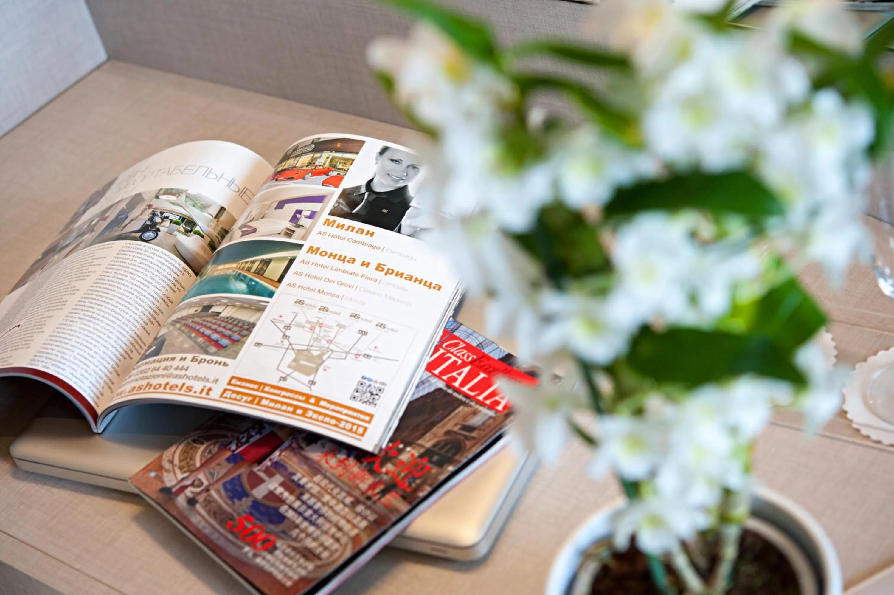 Decorative detail in As Hotel Dei Giovi