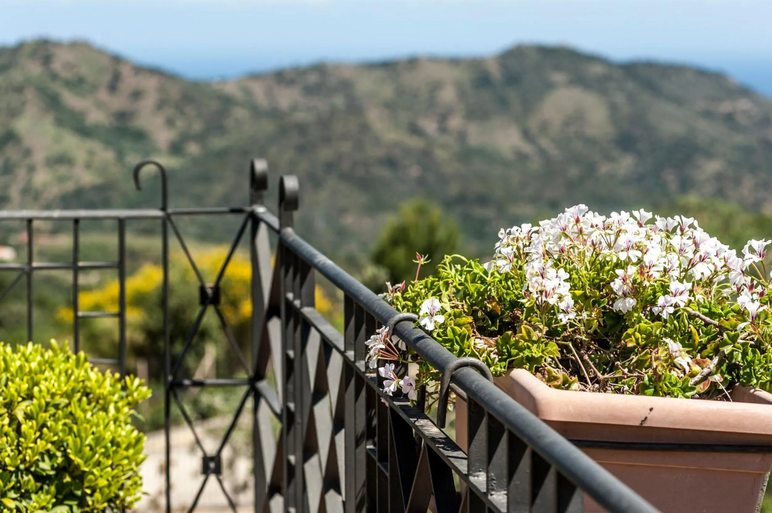 Balcony/Terrace in Relais Abbazia Santa Anastasia Resort & Winery