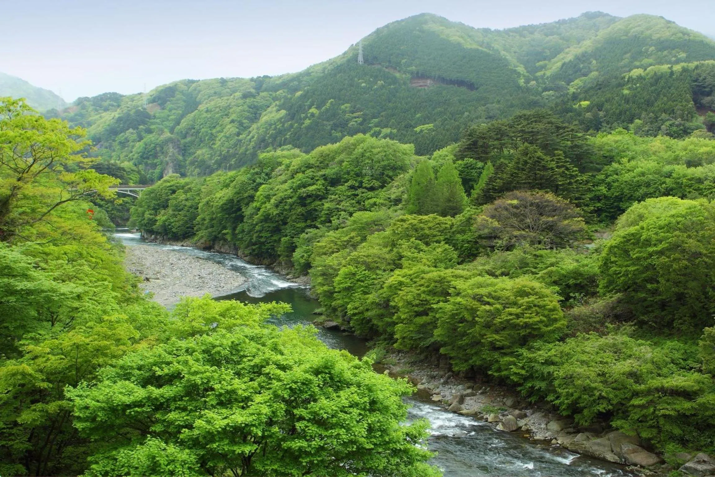 View (from property/room) in Nanaeyae