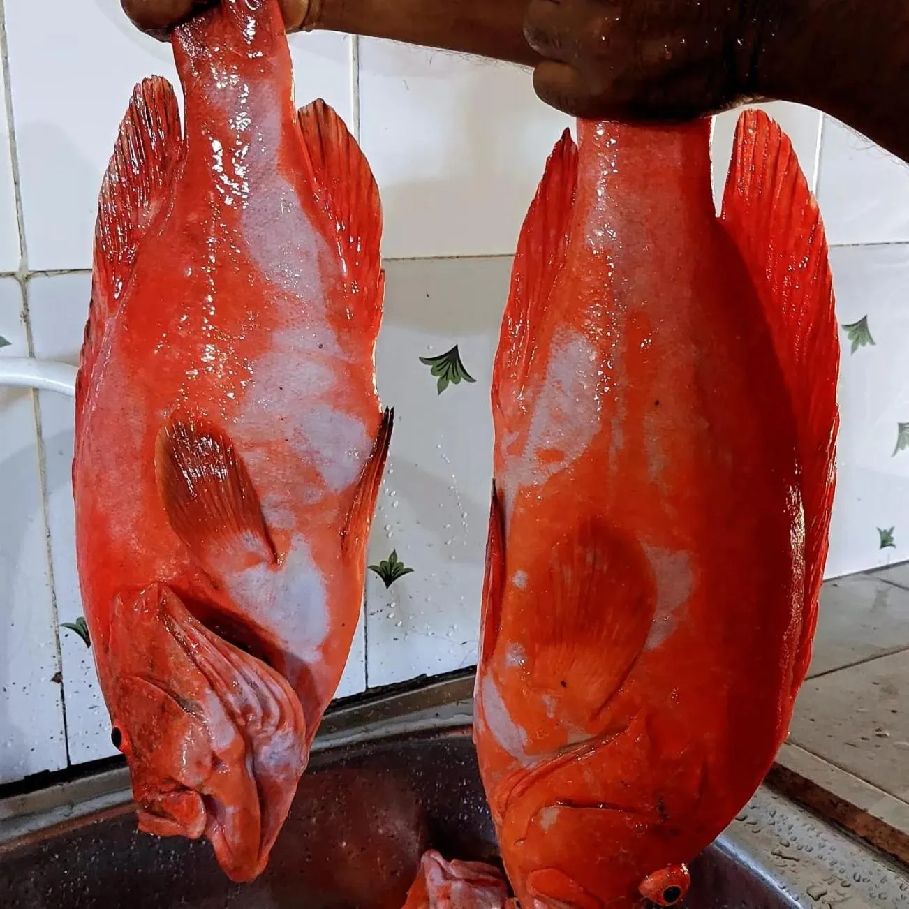 Little Pumpkin Cabanas & seafood restaurant