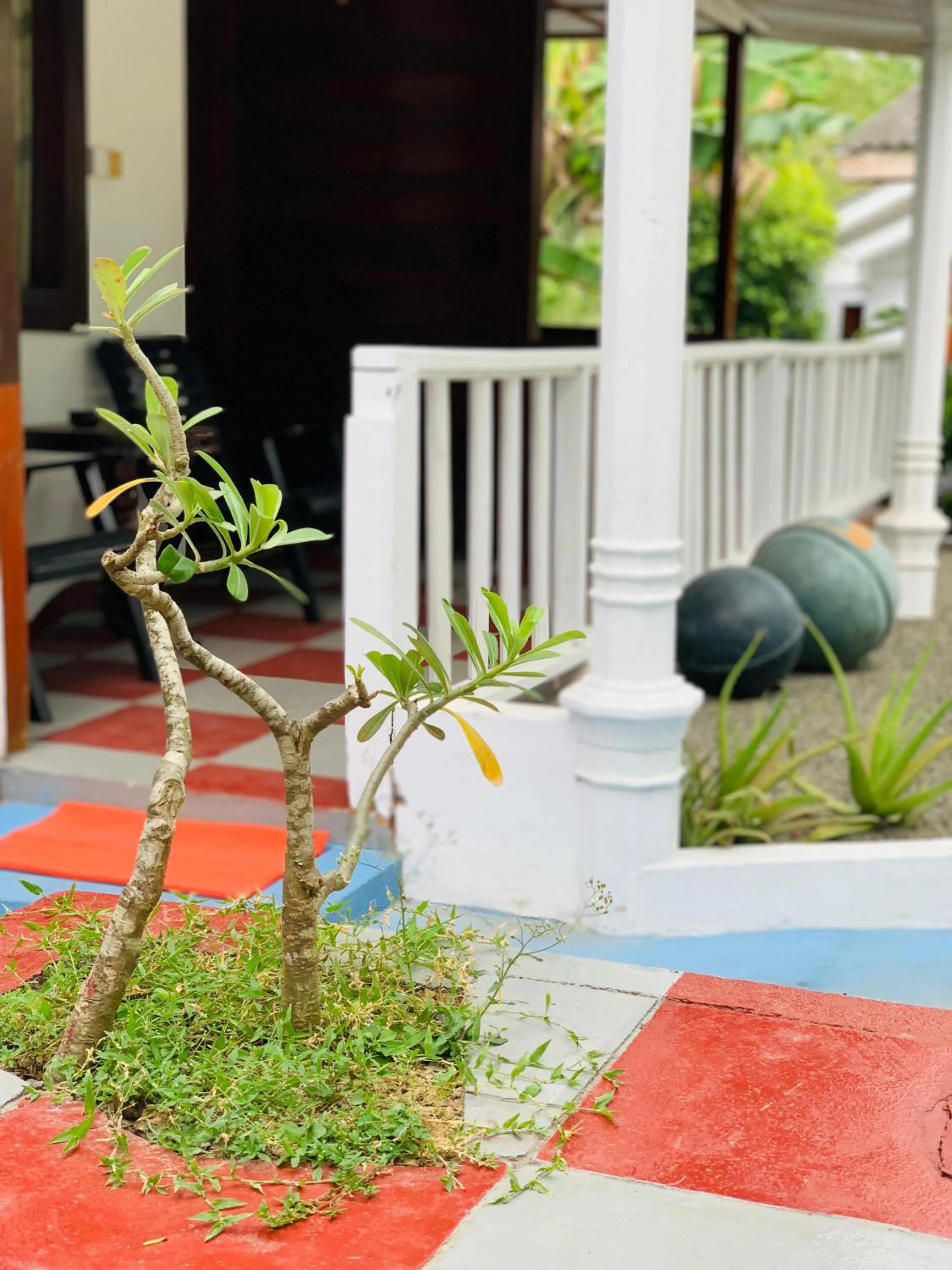 Little Pumpkin Cabanas & seafood restaurant