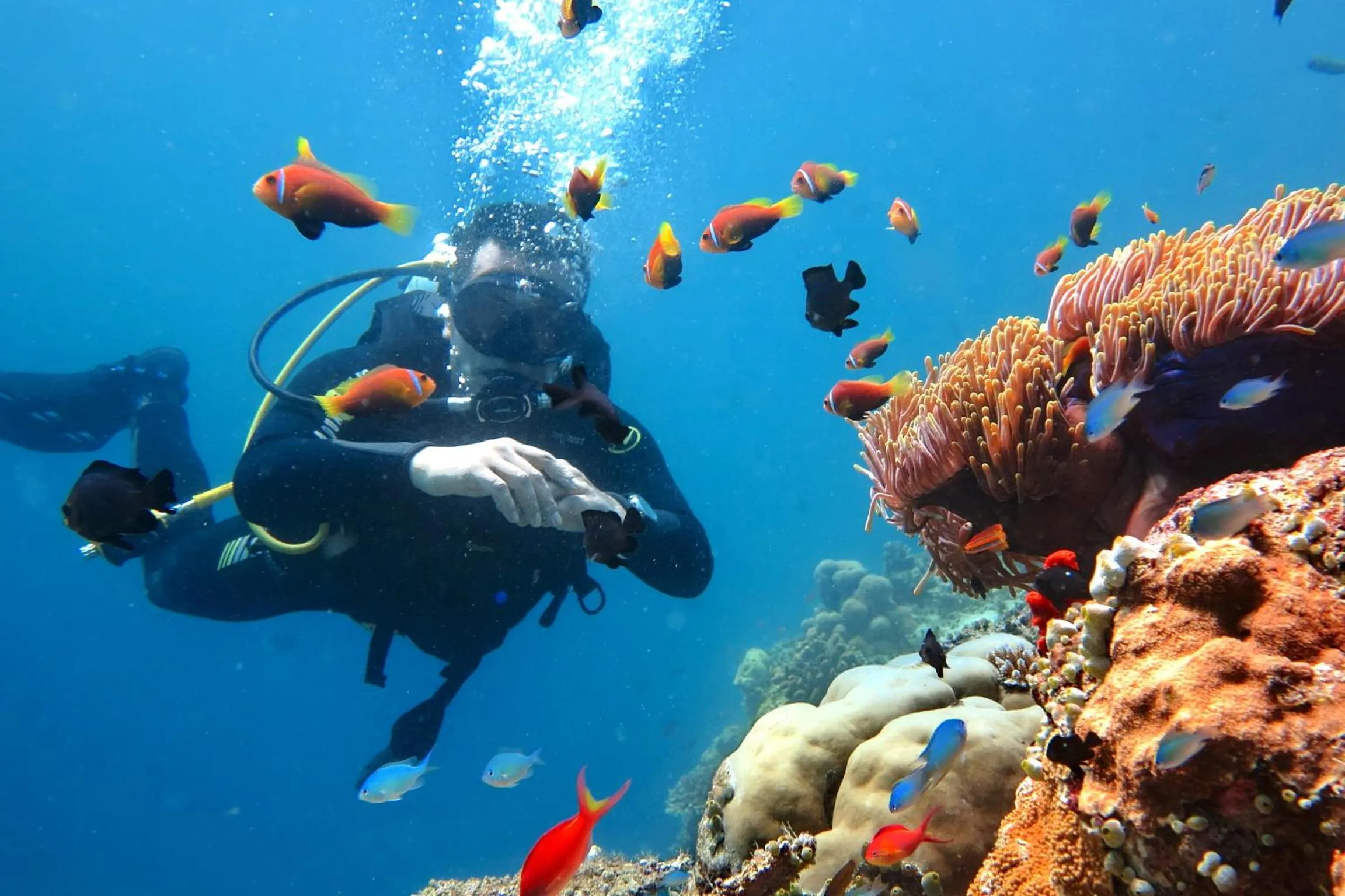 Diving in Kaani Village & Spa