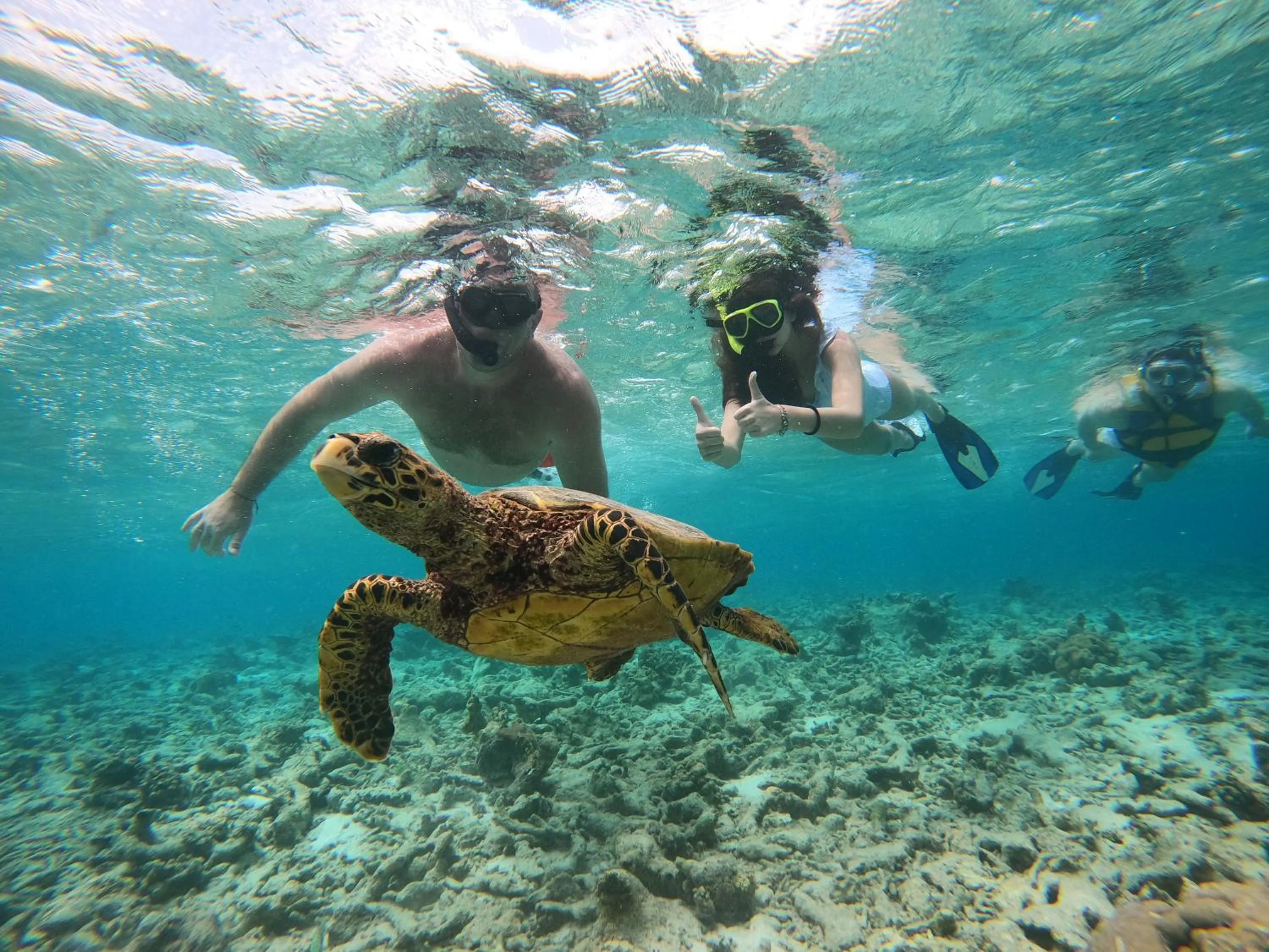 Snorkeling in Kaani Village & Spa