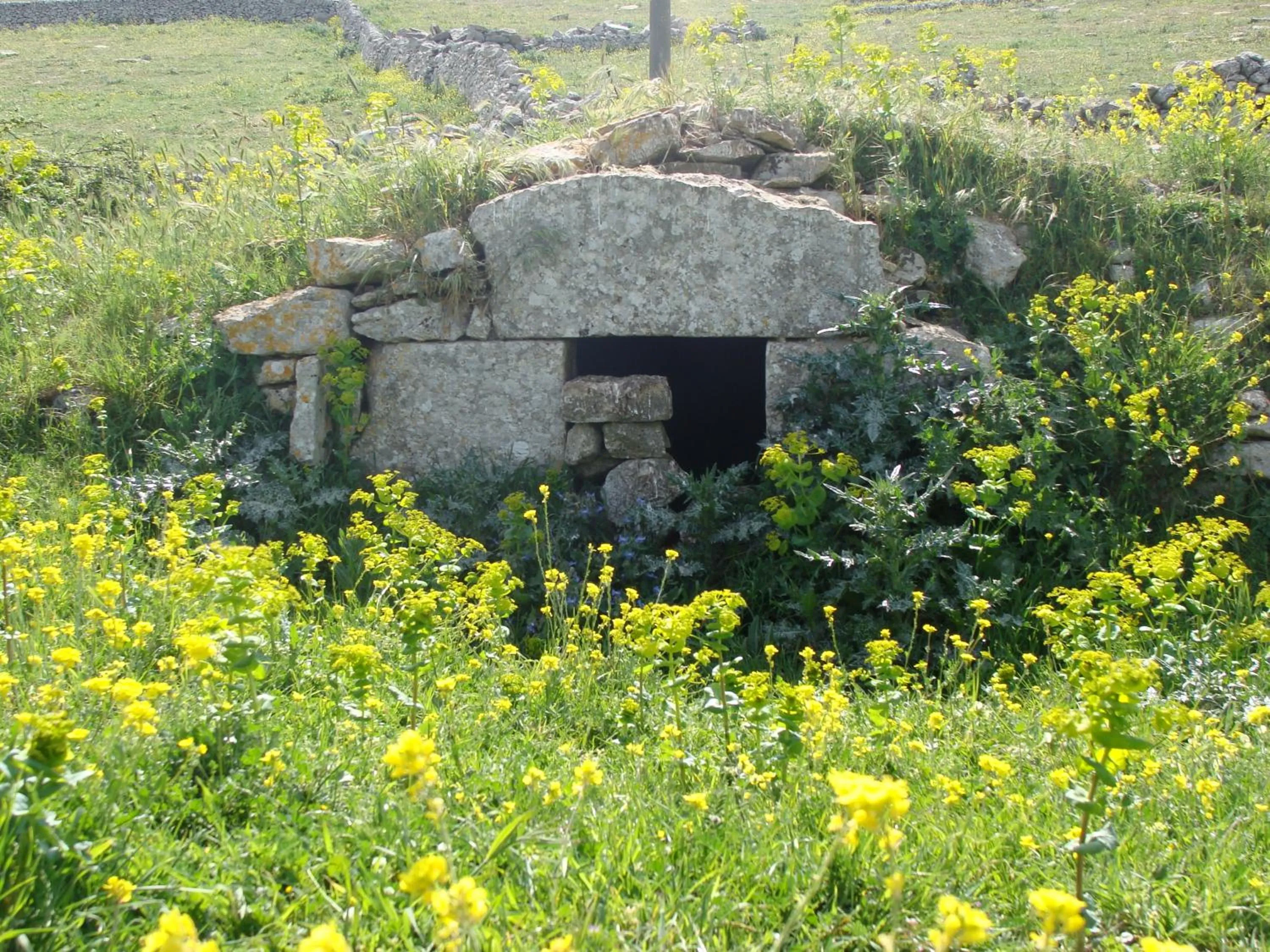 Natural landscape in Antica Stazione
