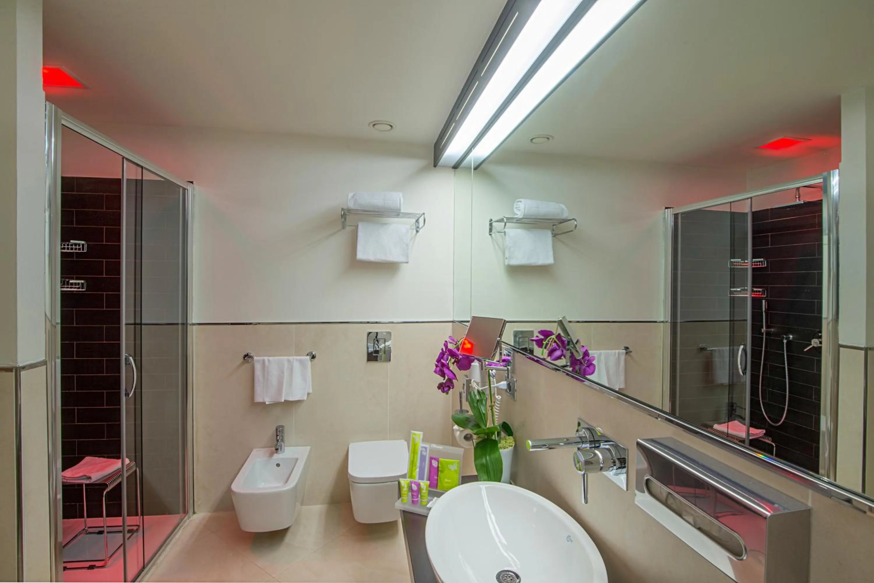 Shower in AS Hotel Limbiate Fiera