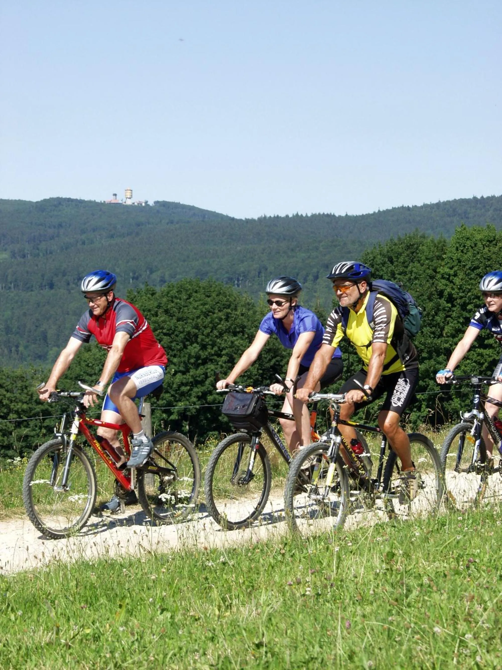 Natural landscape in Wellnesshaus Waldmünchen