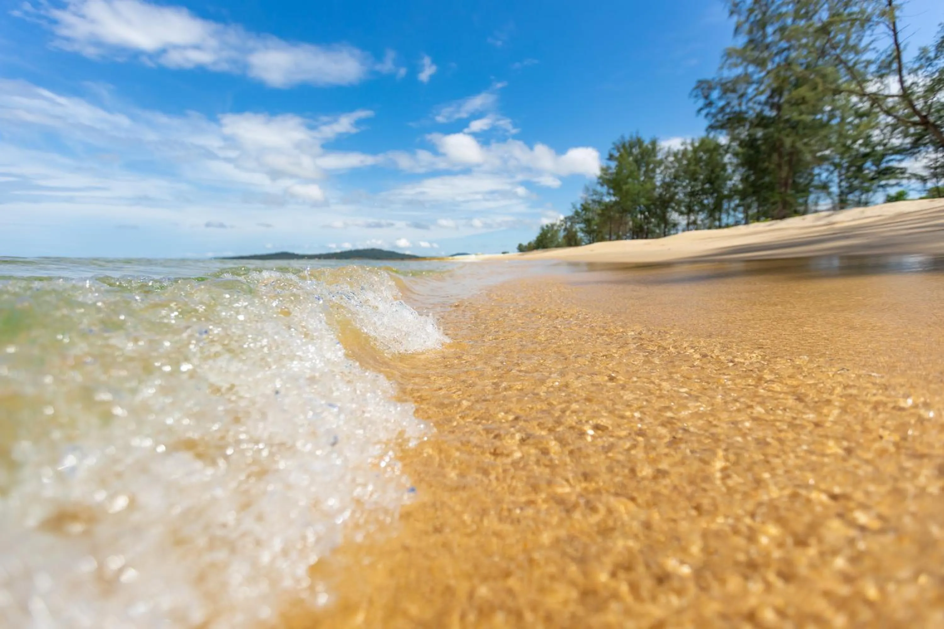 Natural landscape in Coco Garden Resort