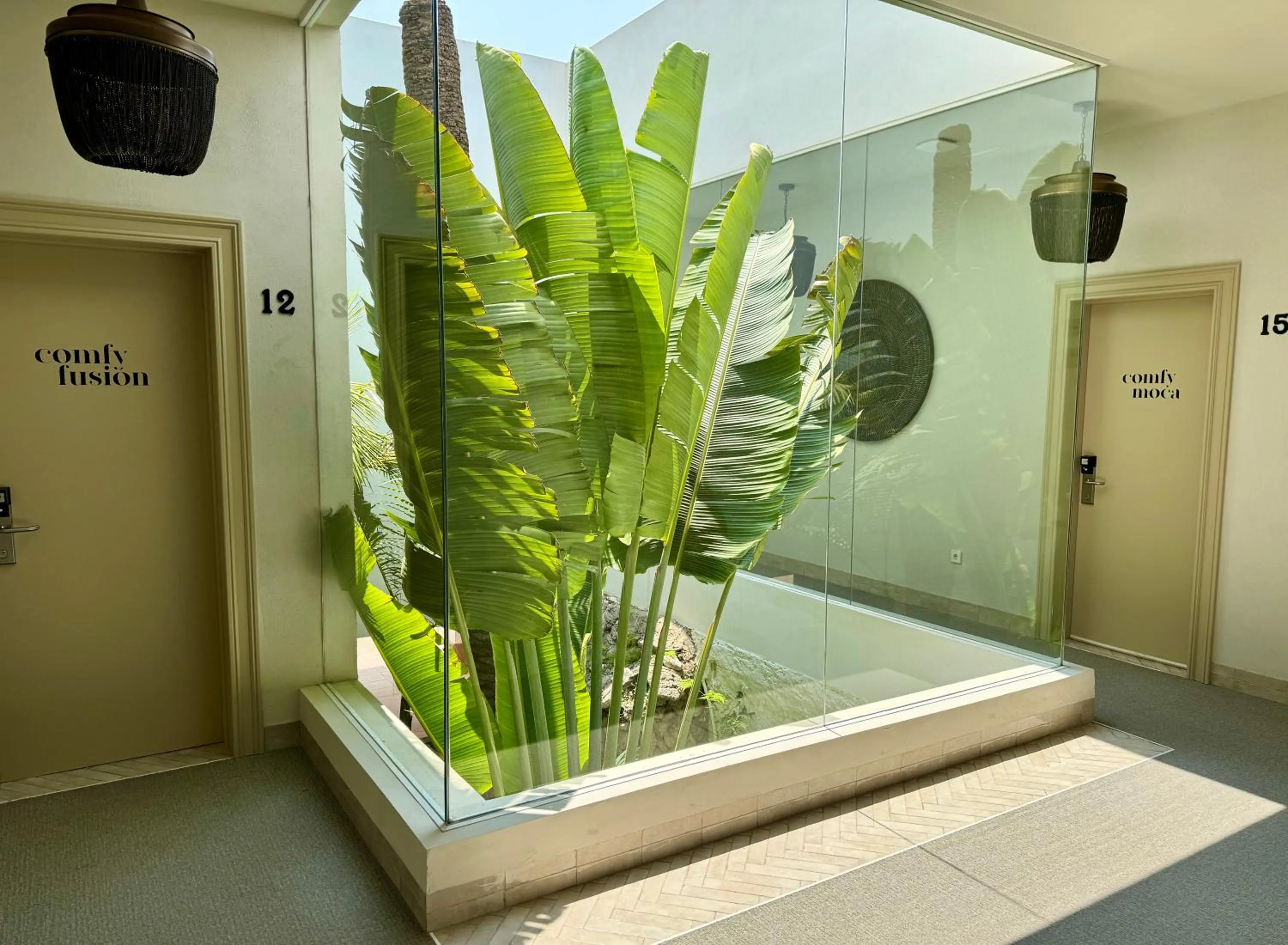 Patio in Comfy Studios Hotel