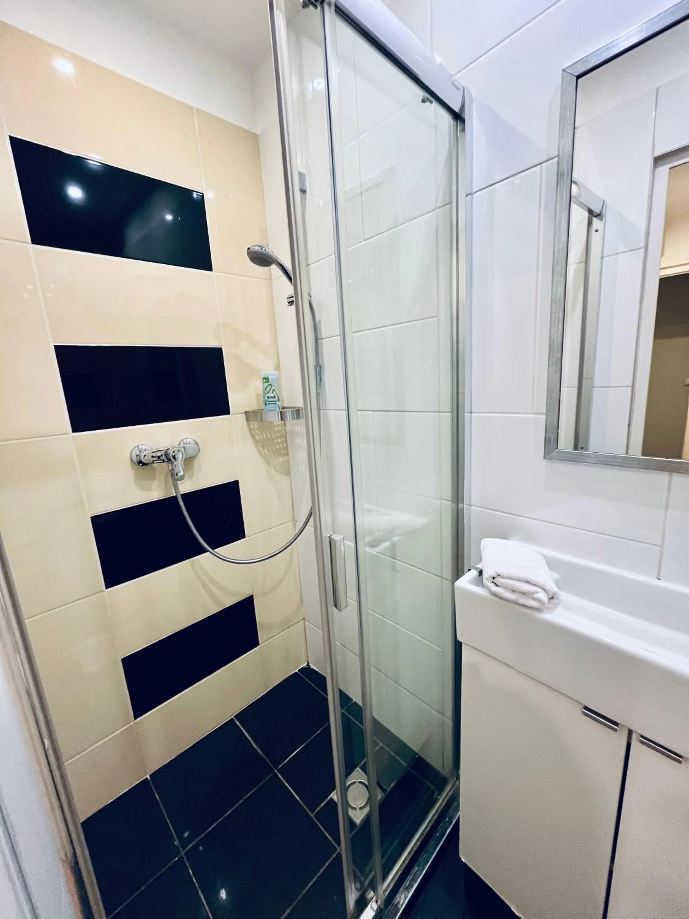 Bathroom in Tatra 4 Studios