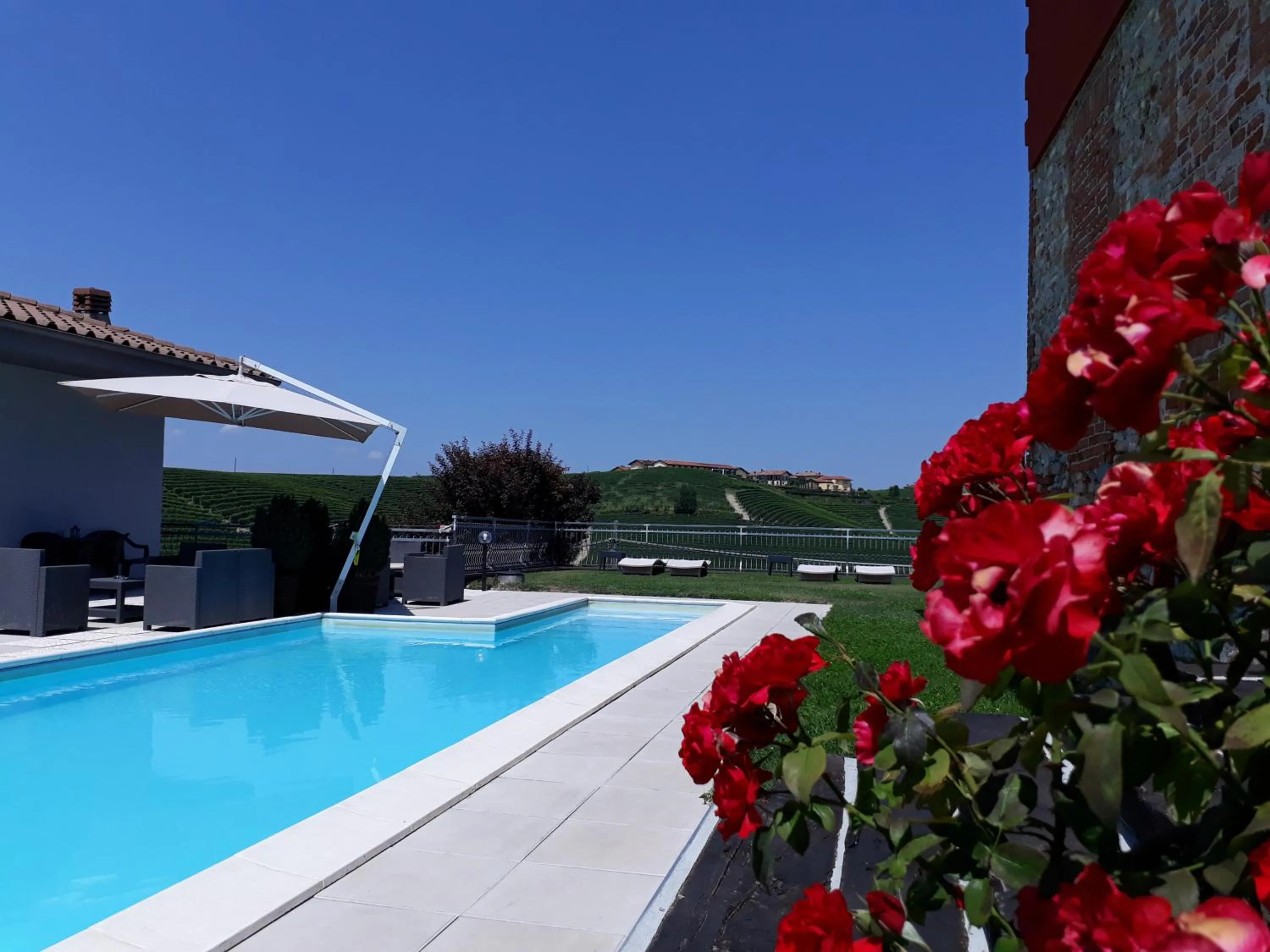 Red Wine Camere