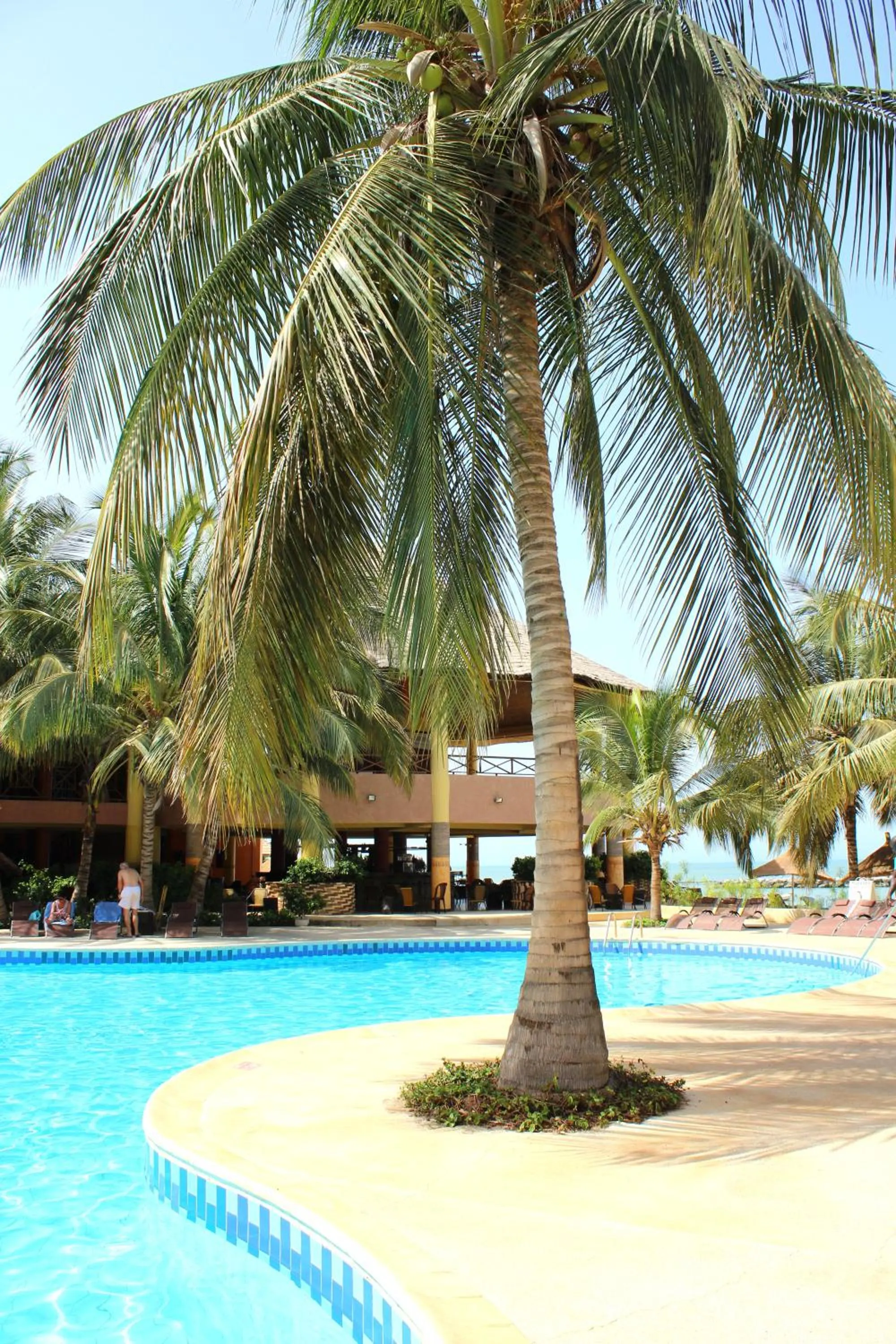 Swimming pool in Royal Saly