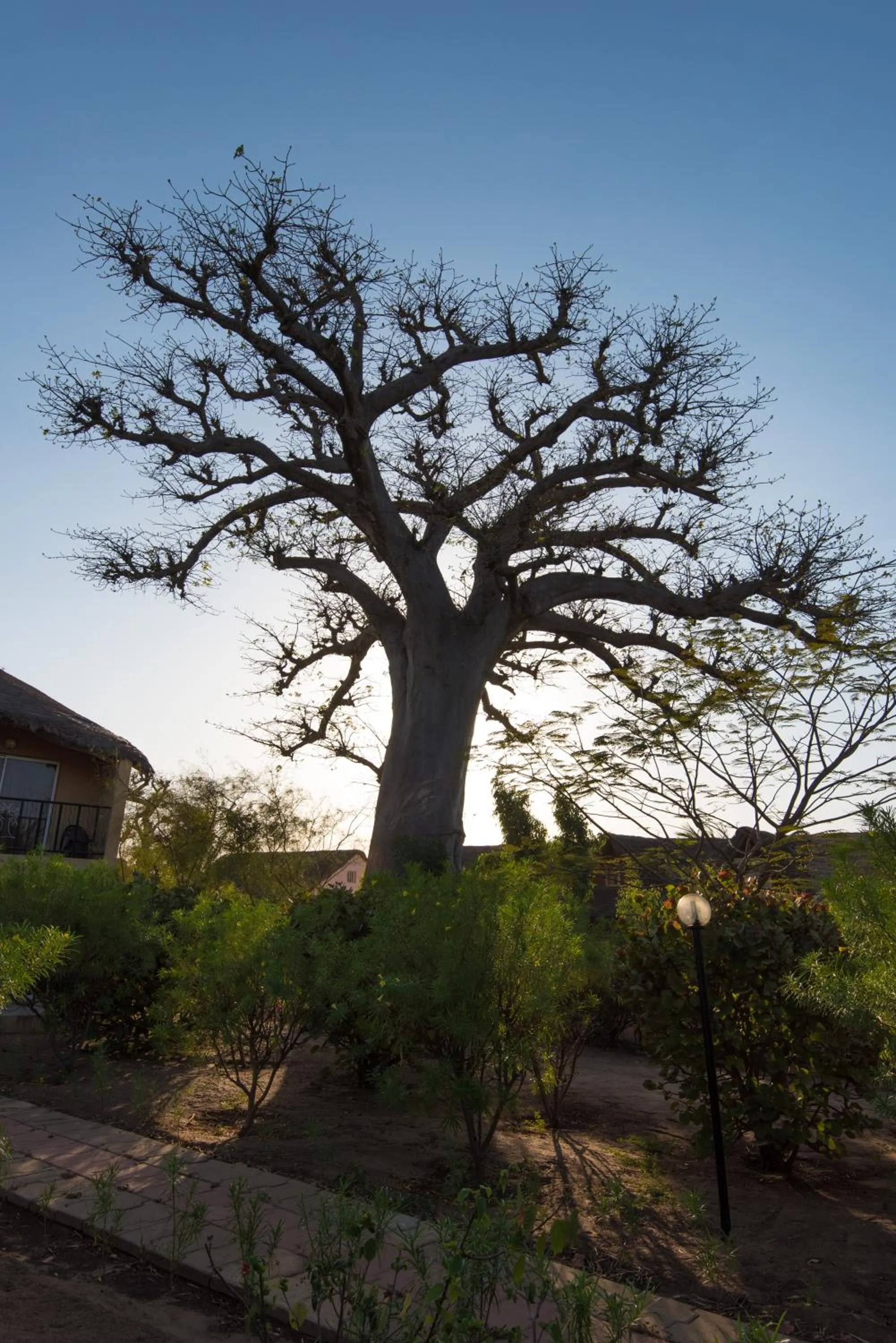 Decorative detail in Royal Saly