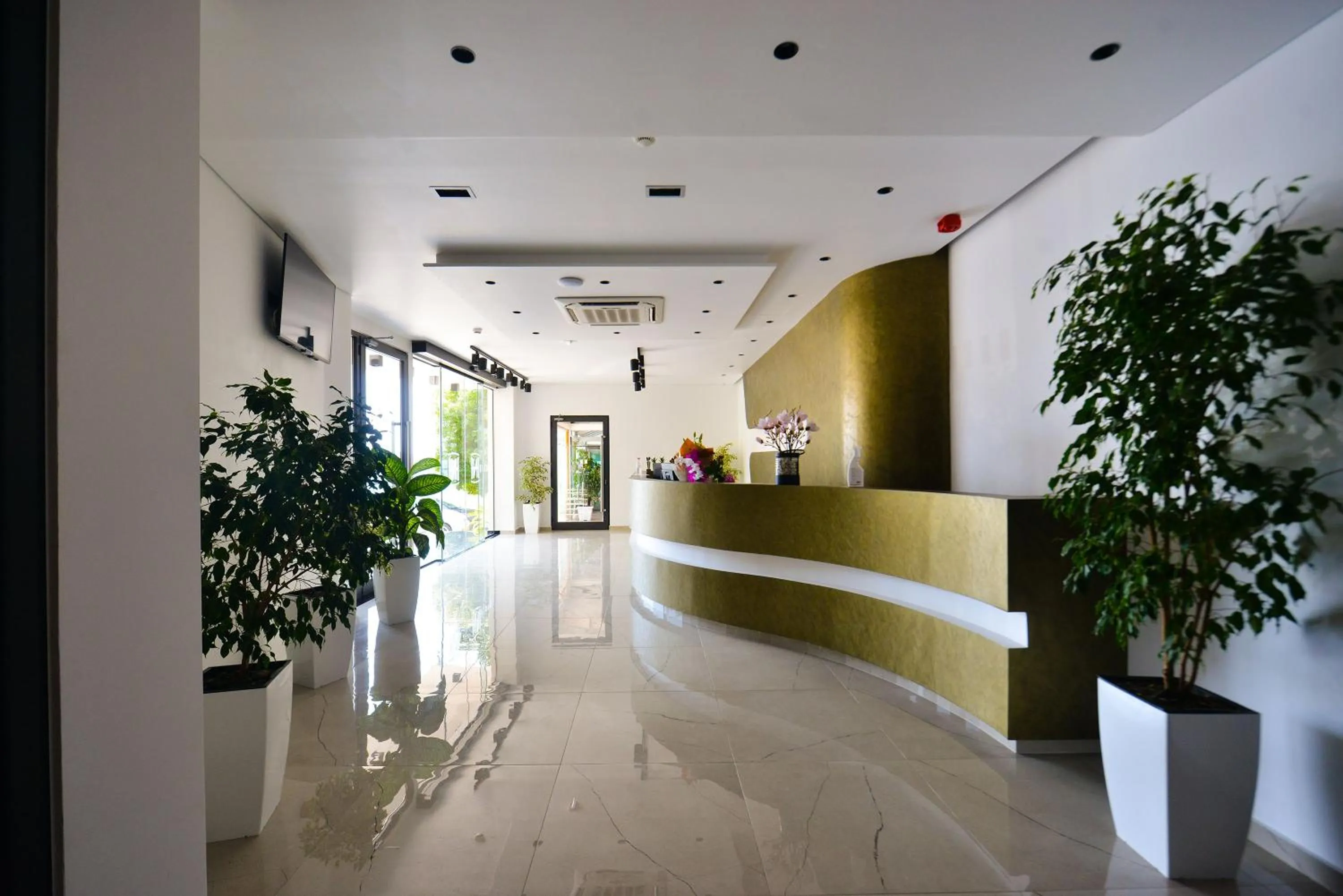 Lobby or reception in Hotel Nertili