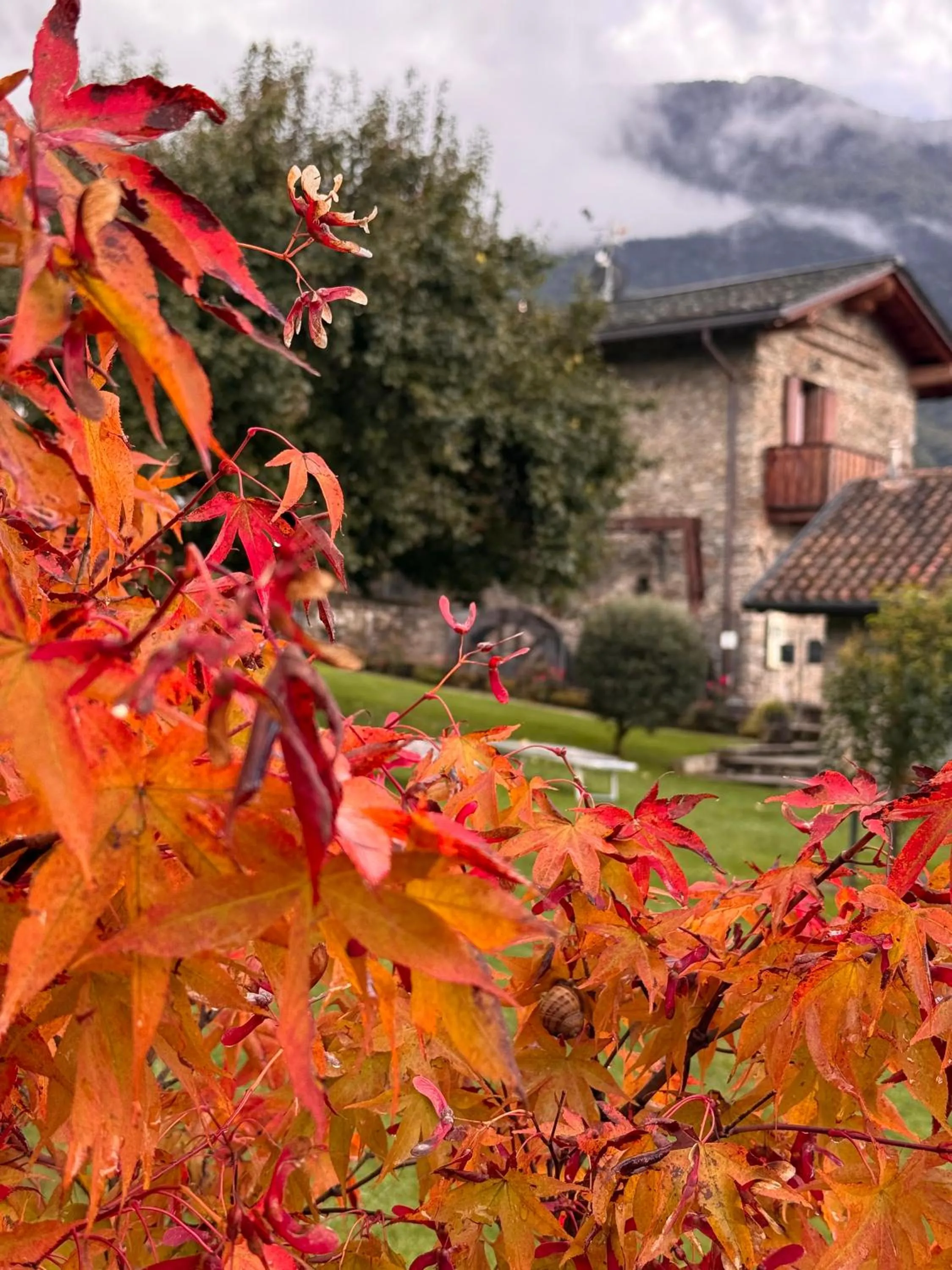 Garden in Alle Macine - Historic Molino Maufet Watermill - Lake Como