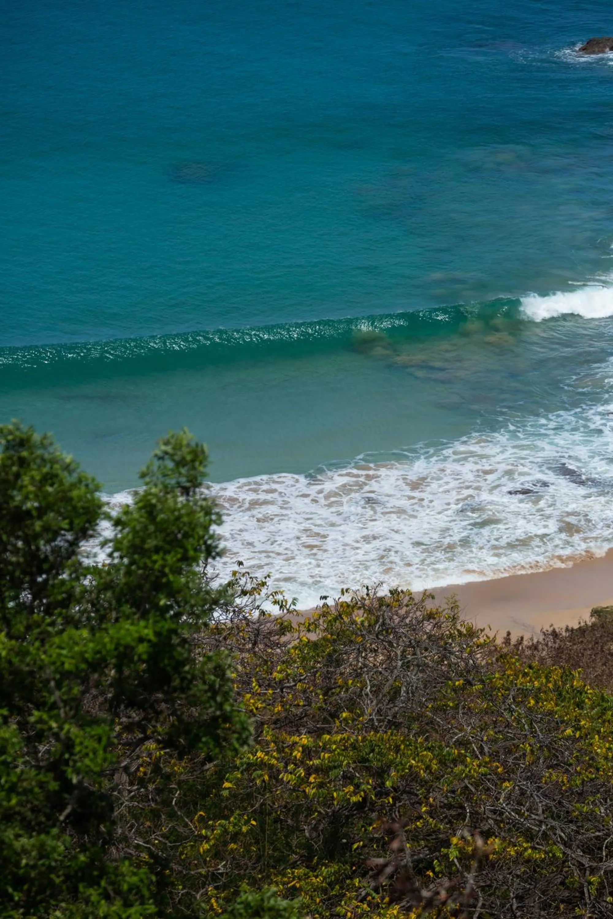 View (from property/room) in Pousada Ecológica Akanã