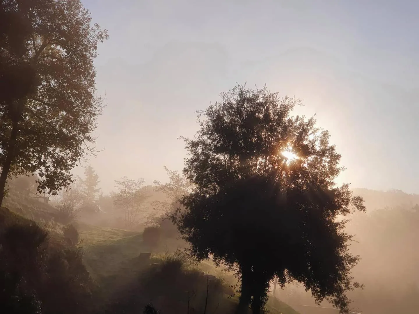 Natural landscape in Lebbiano Residence