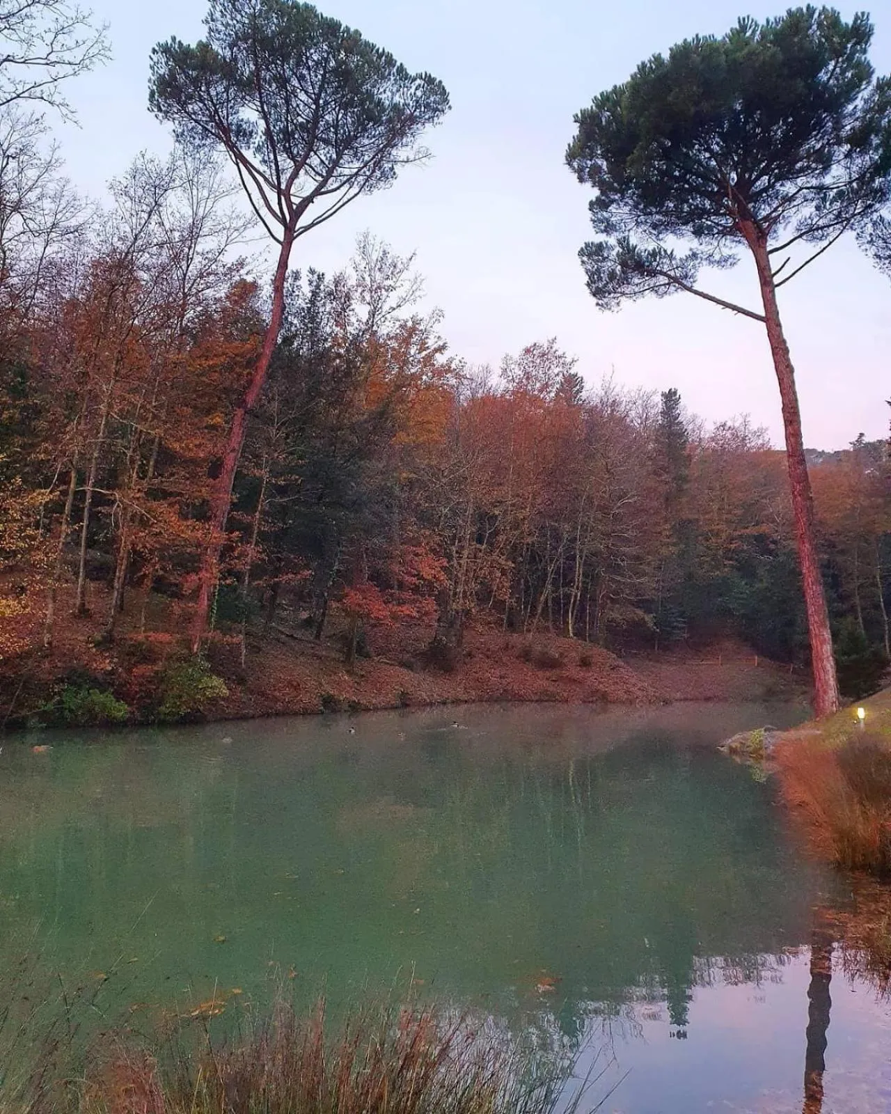 Natural landscape in Lebbiano Residence