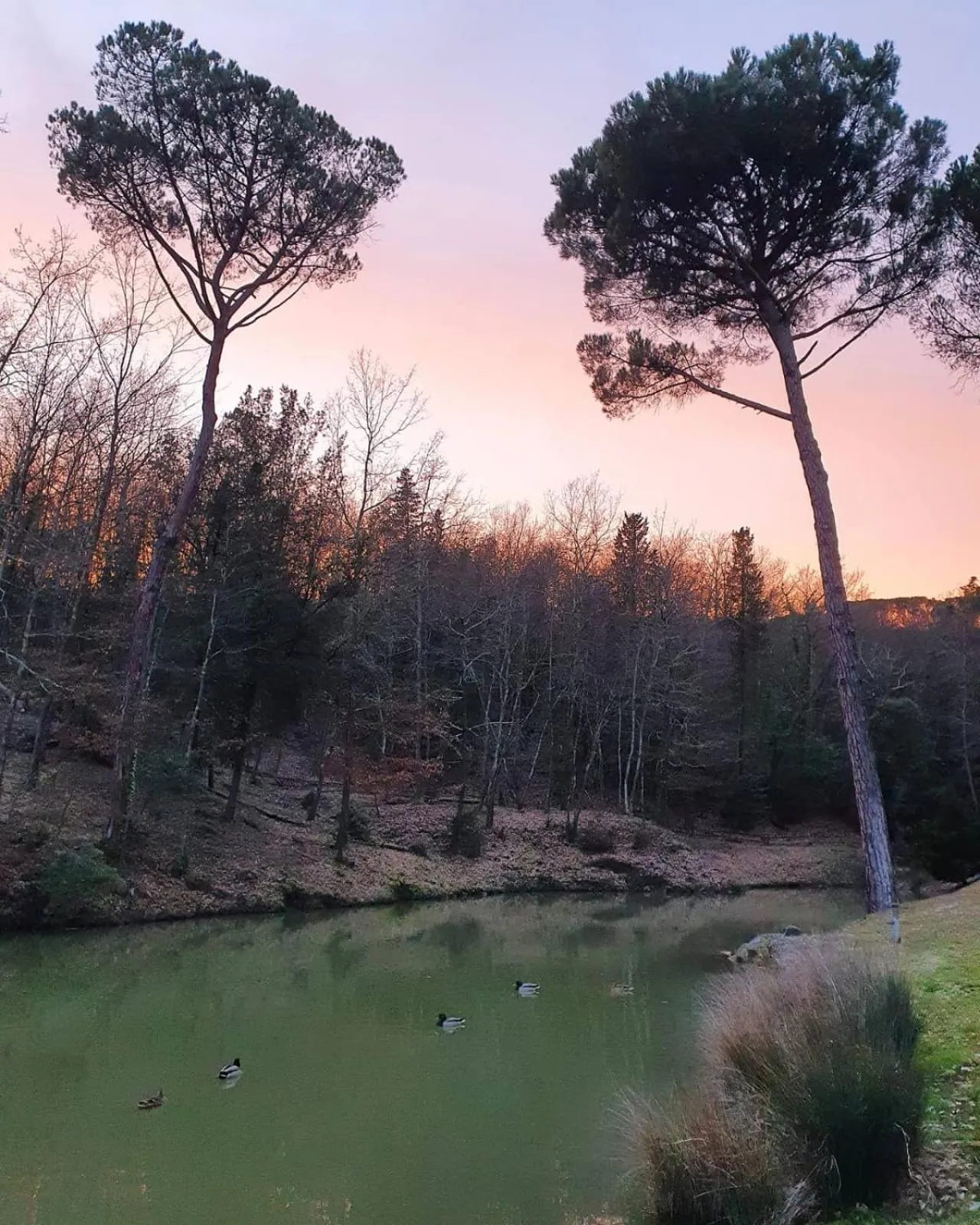 Natural landscape in Lebbiano Residence