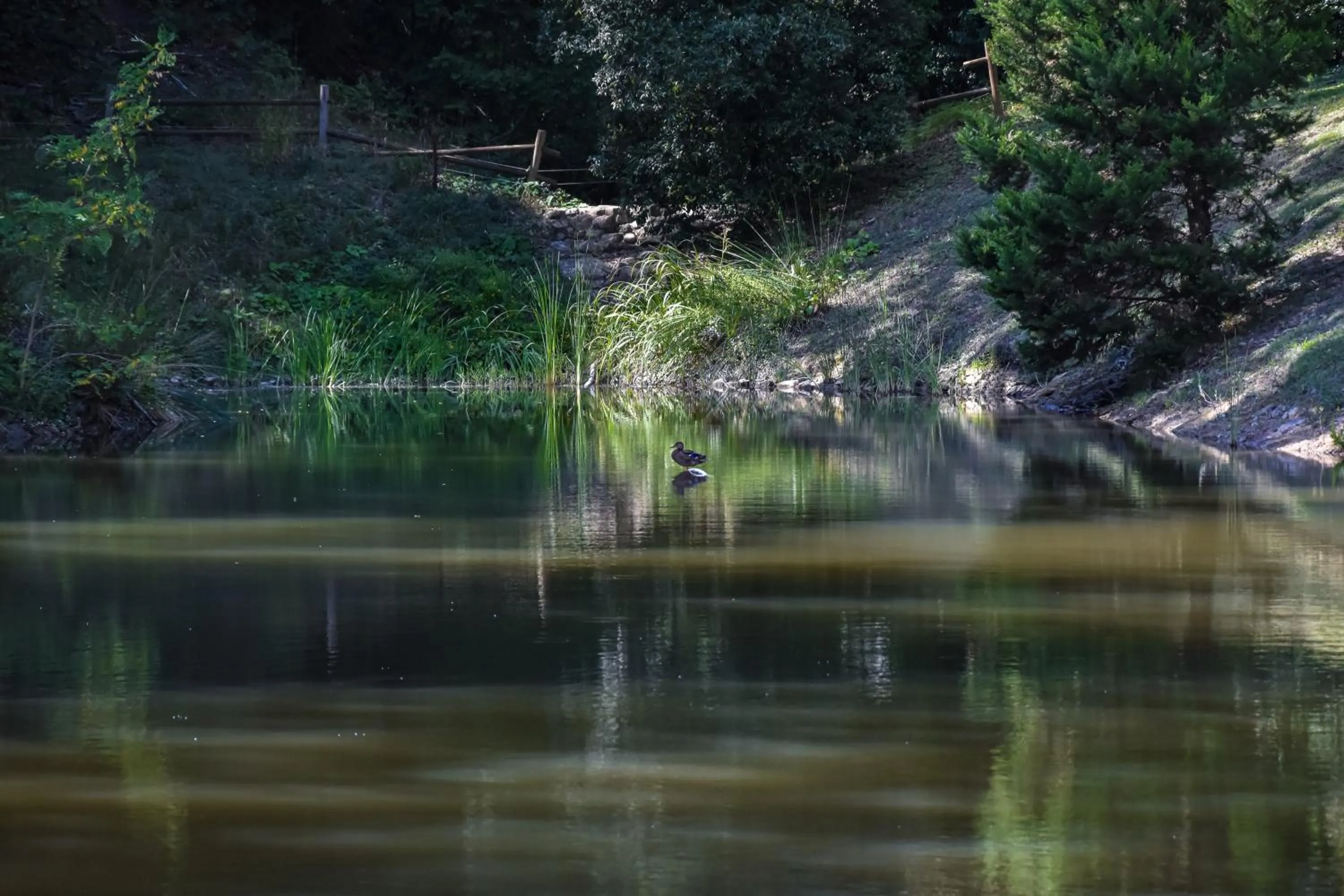 Lake view in Lebbiano Residence