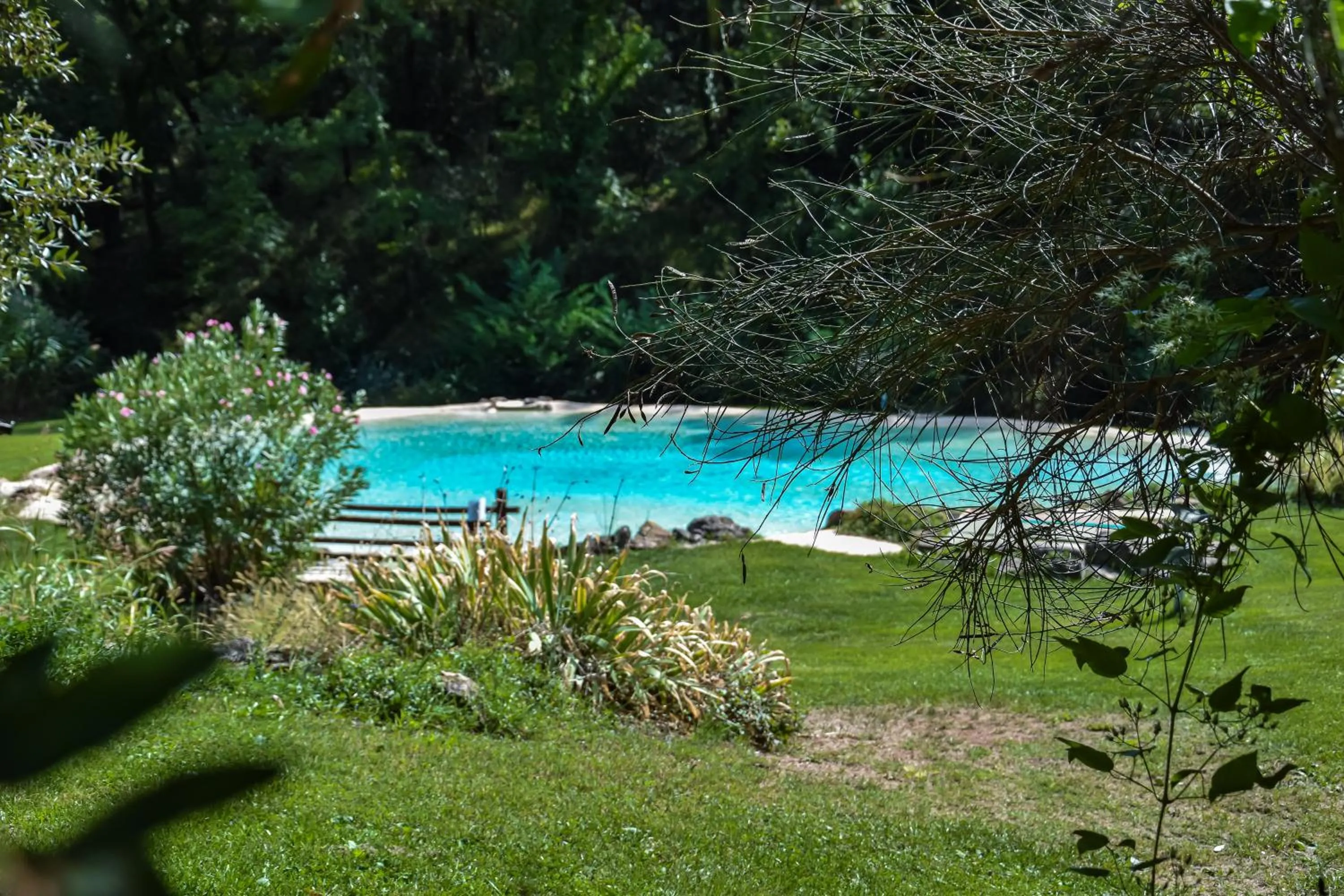 Swimming pool in Lebbiano Residence
