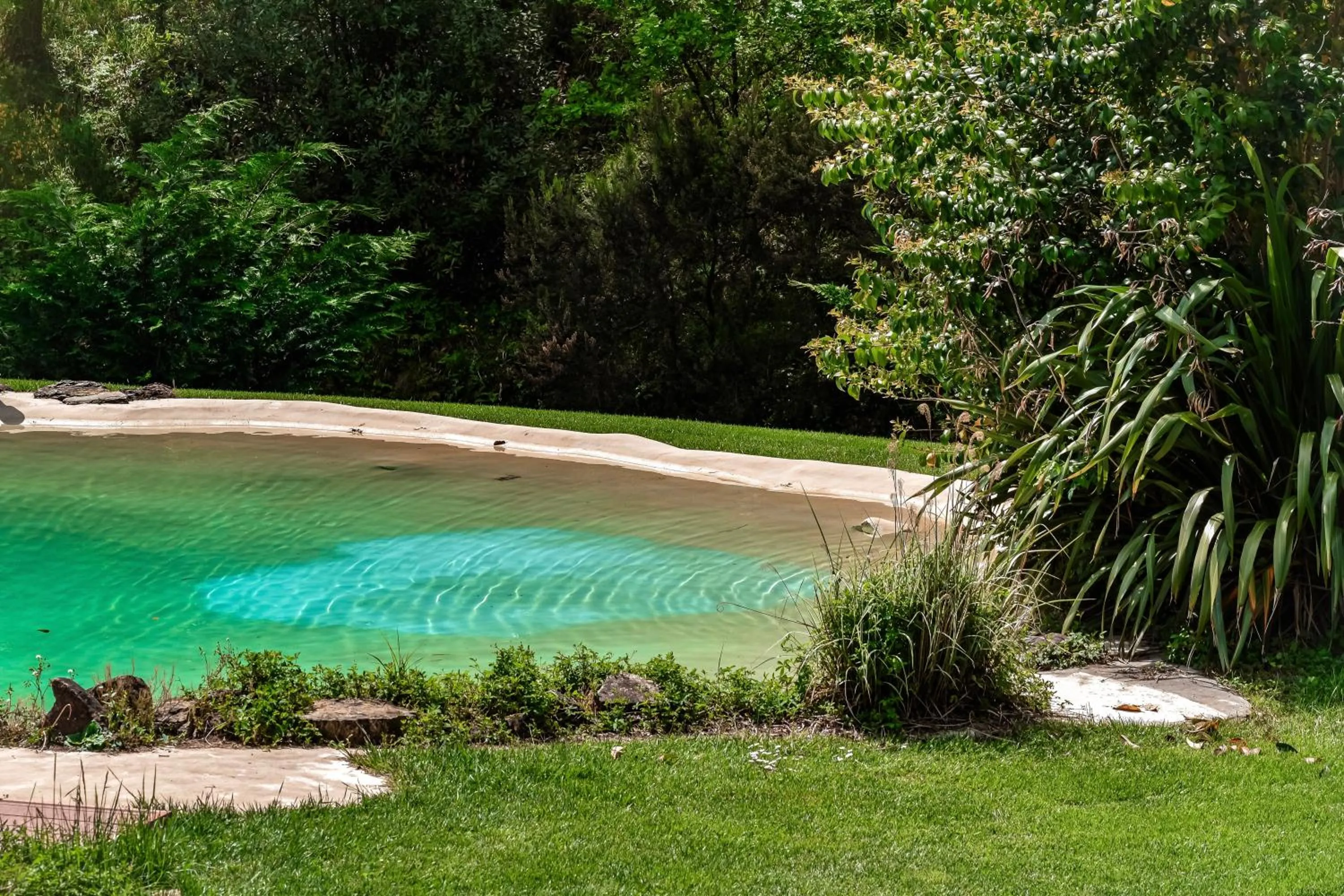 Pool view in Lebbiano Residence