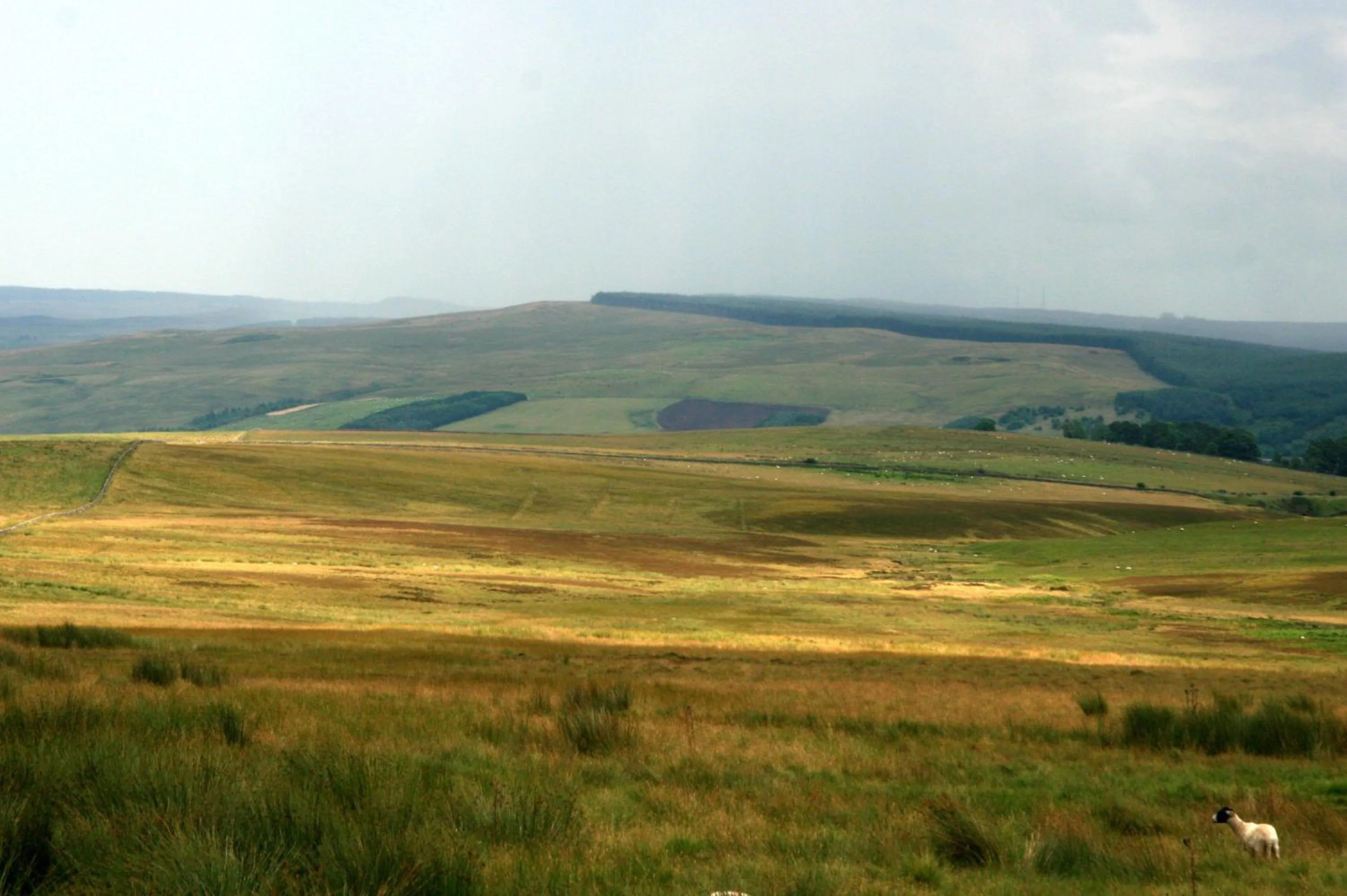 Day in Hollybush Inn