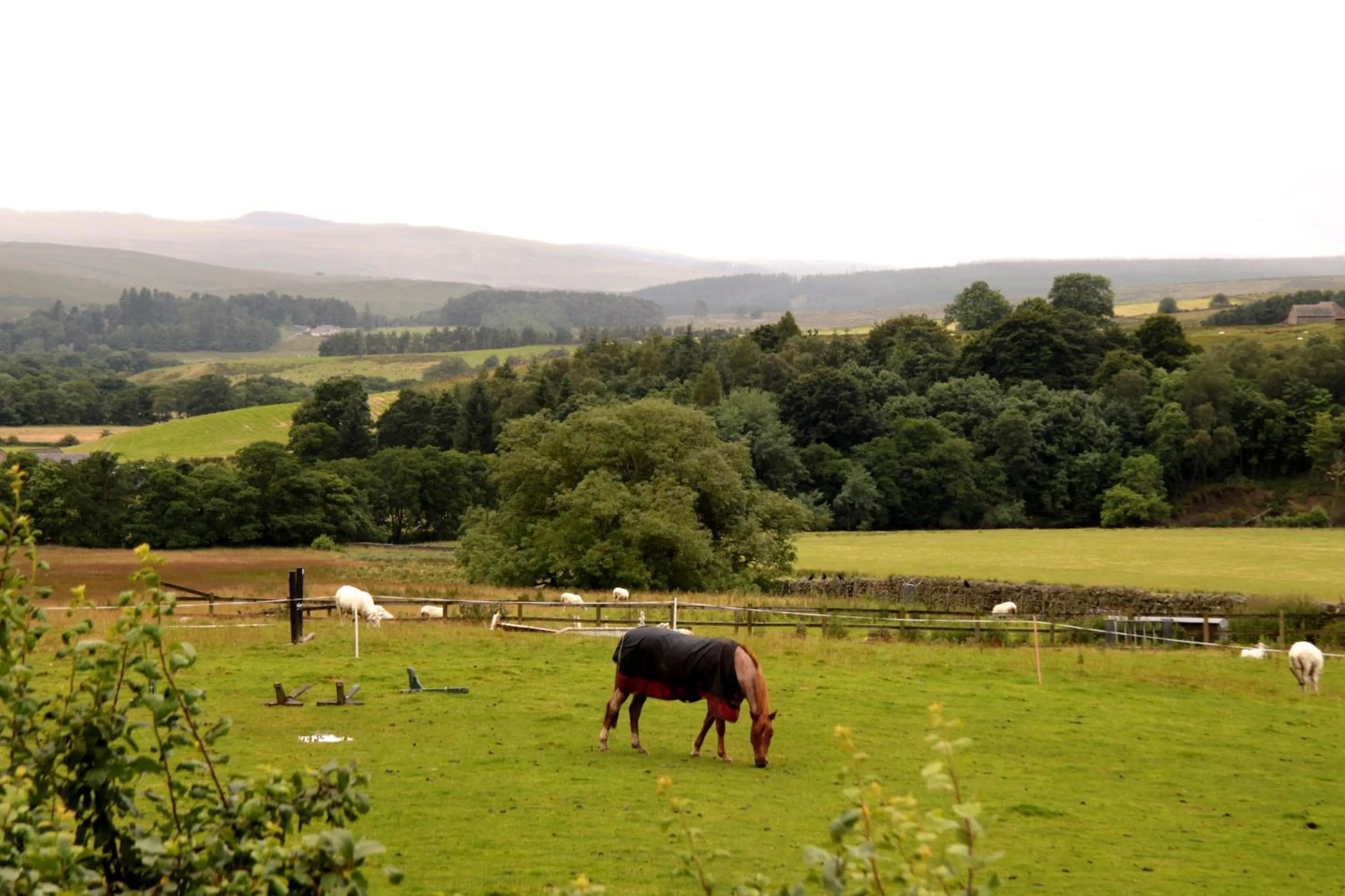 Day in Hollybush Inn