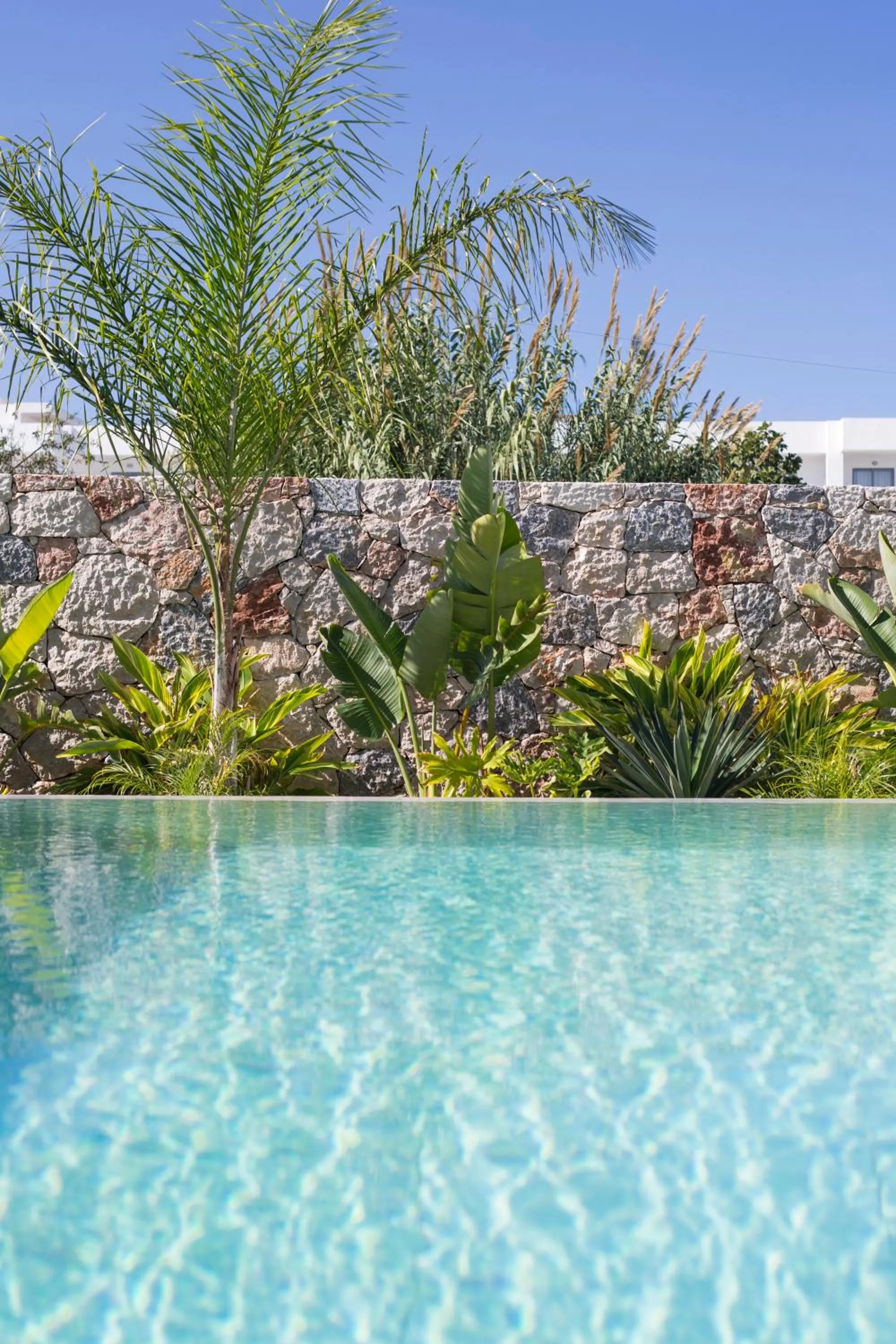 Swimming pool in DeLight Luxury Rooms