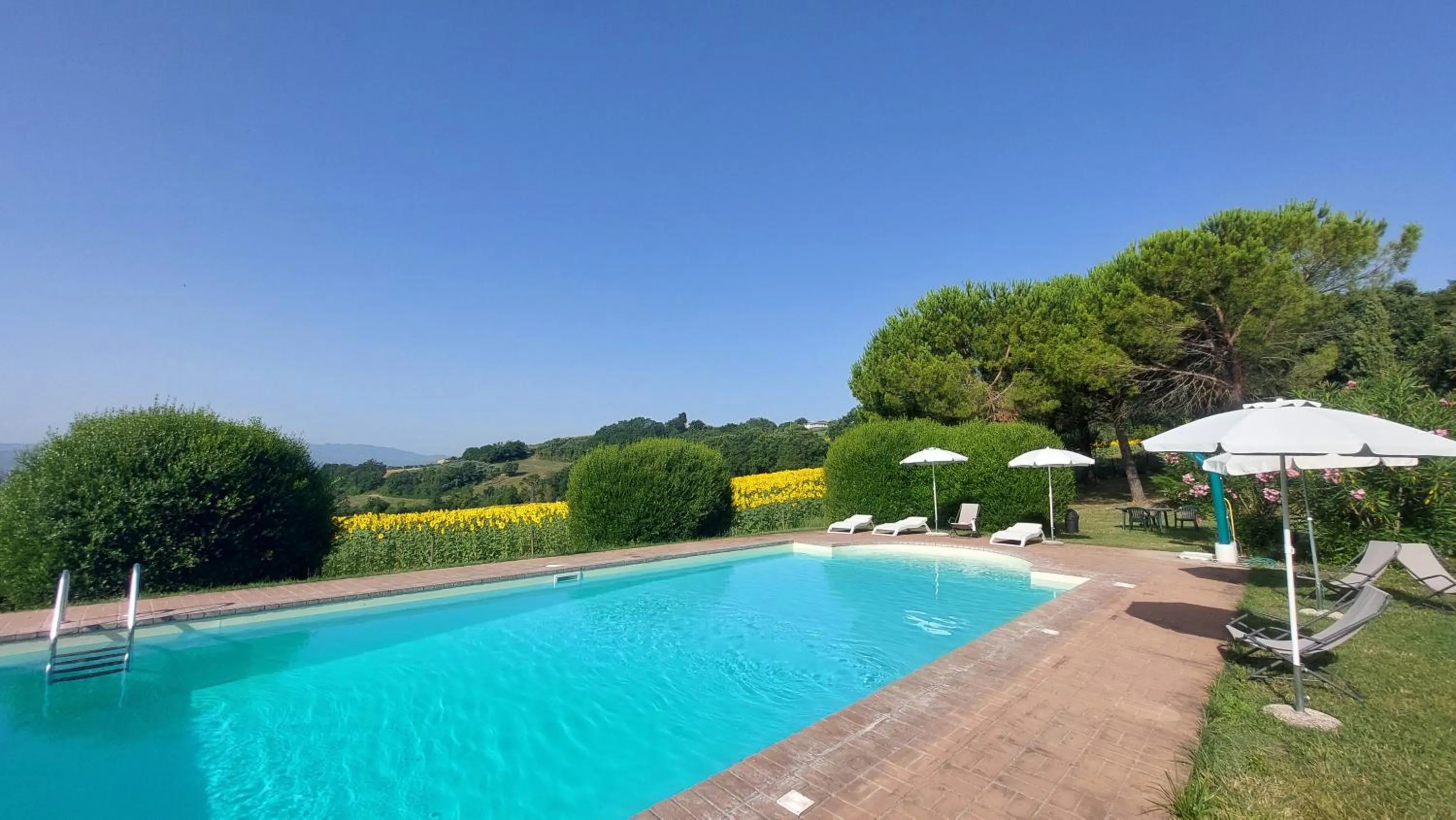 Swimming pool in Il Borghetto