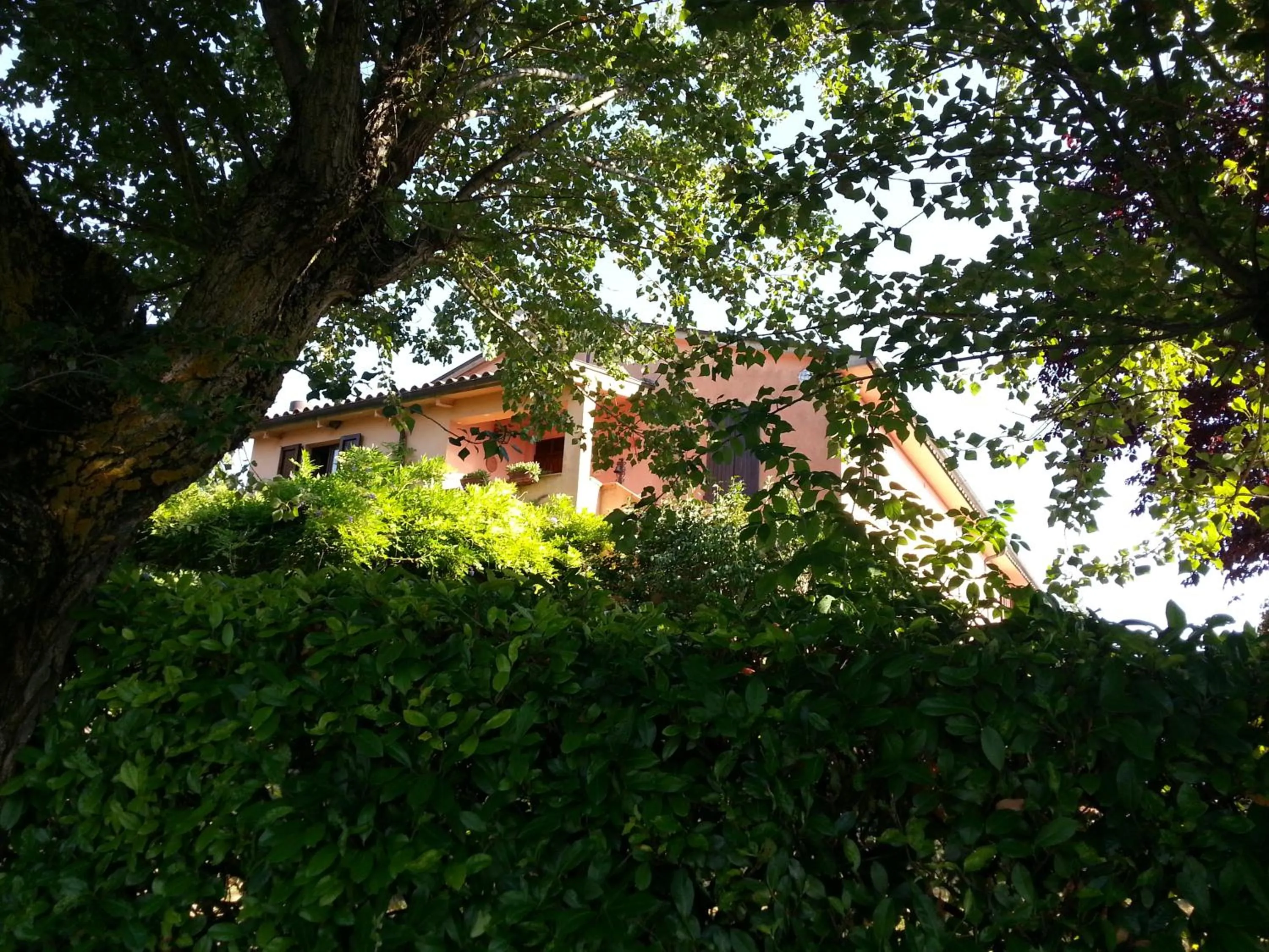 Pool view in Il Borghetto