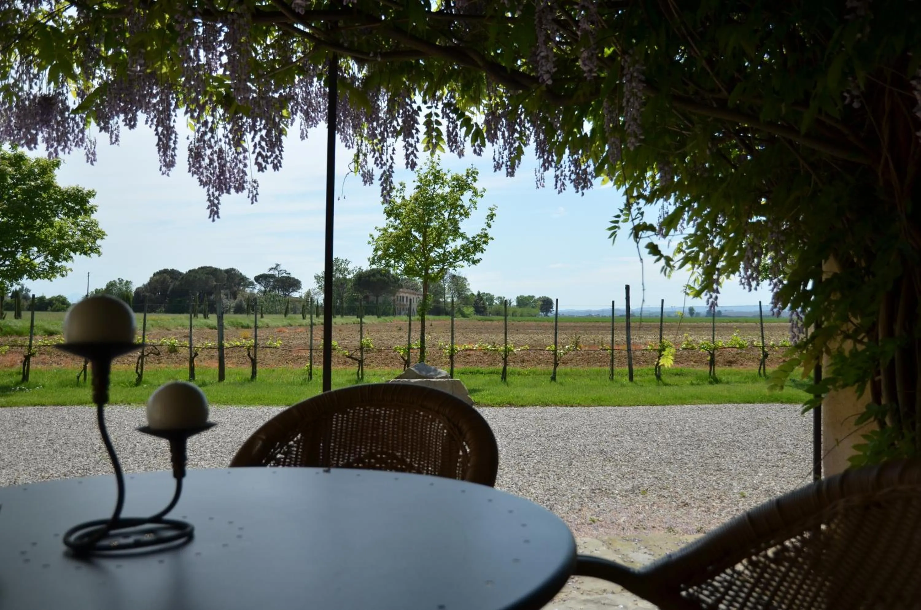 Garden in Cortona Resort-Le Terre Dei Cavalieri