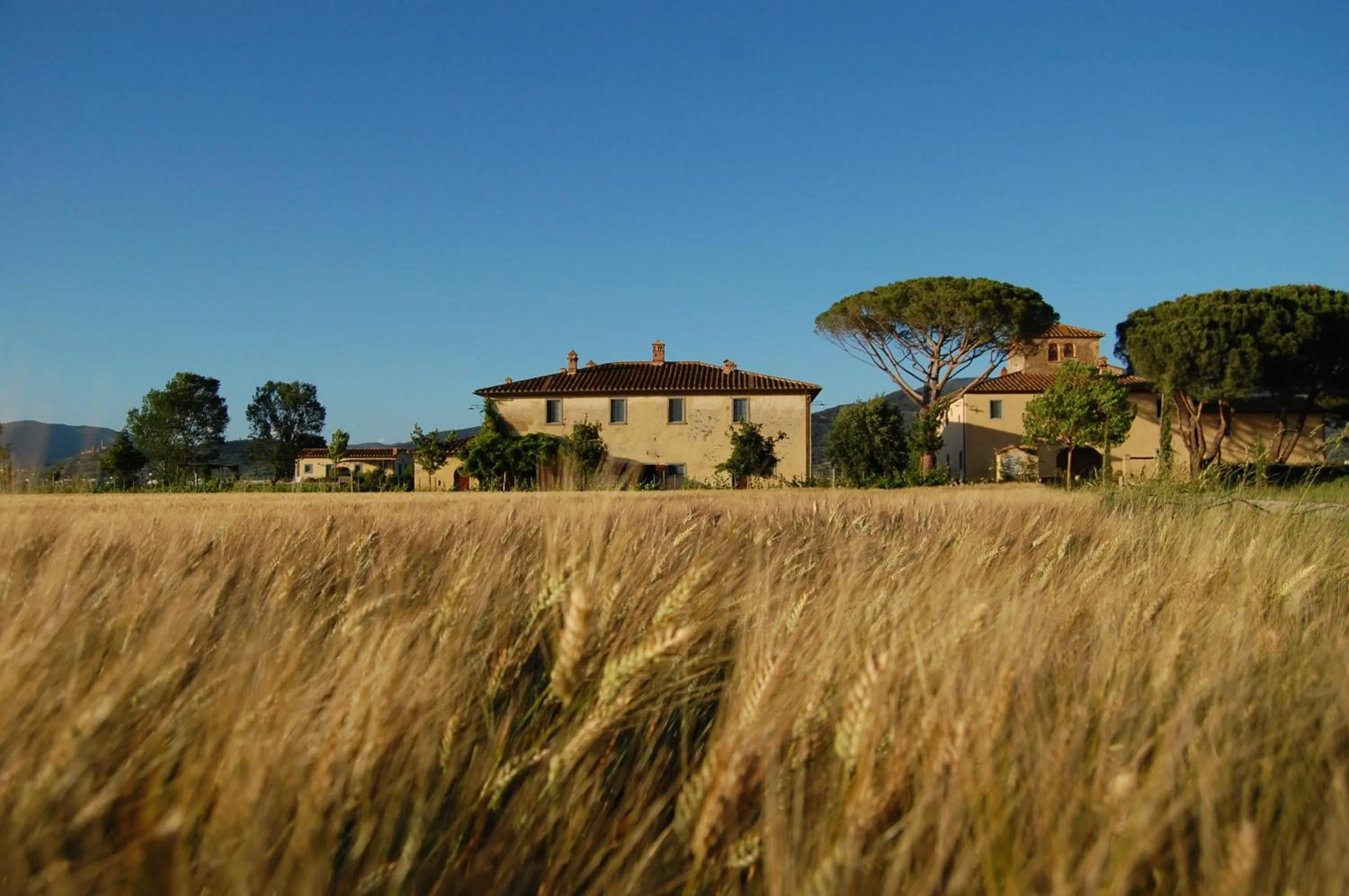 Facade/entrance in Cortona Resort-Le Terre Dei Cavalieri