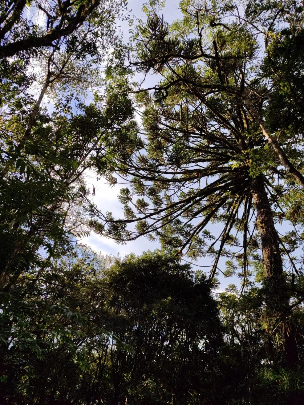 Pousada Château dos Fontes
