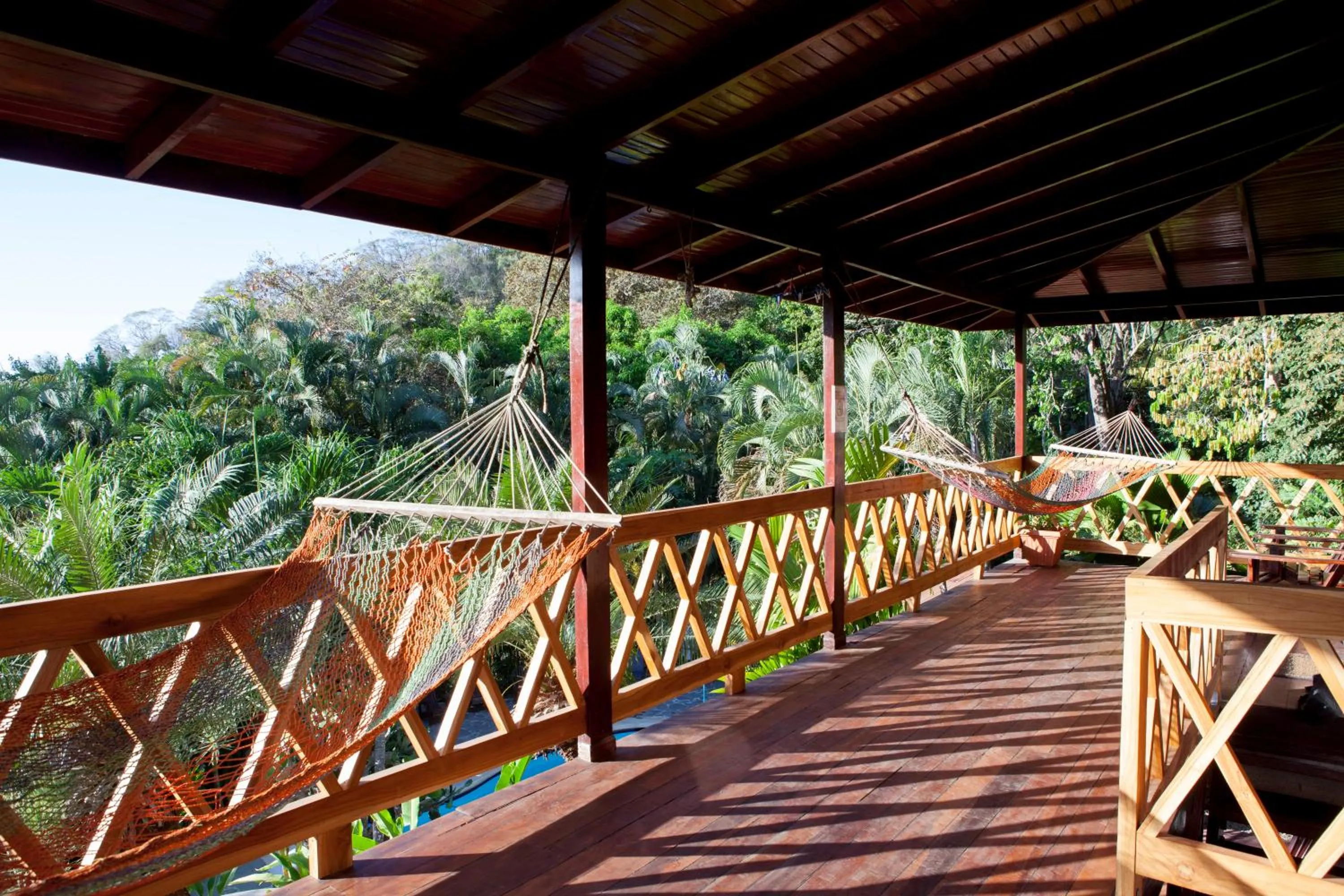 Balcony/Terrace in Hotel El Jardin