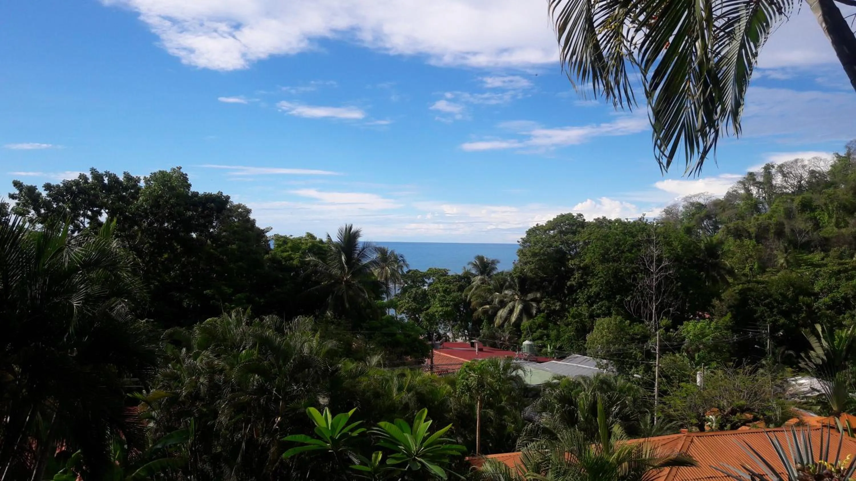 Garden view in Hotel El Jardin