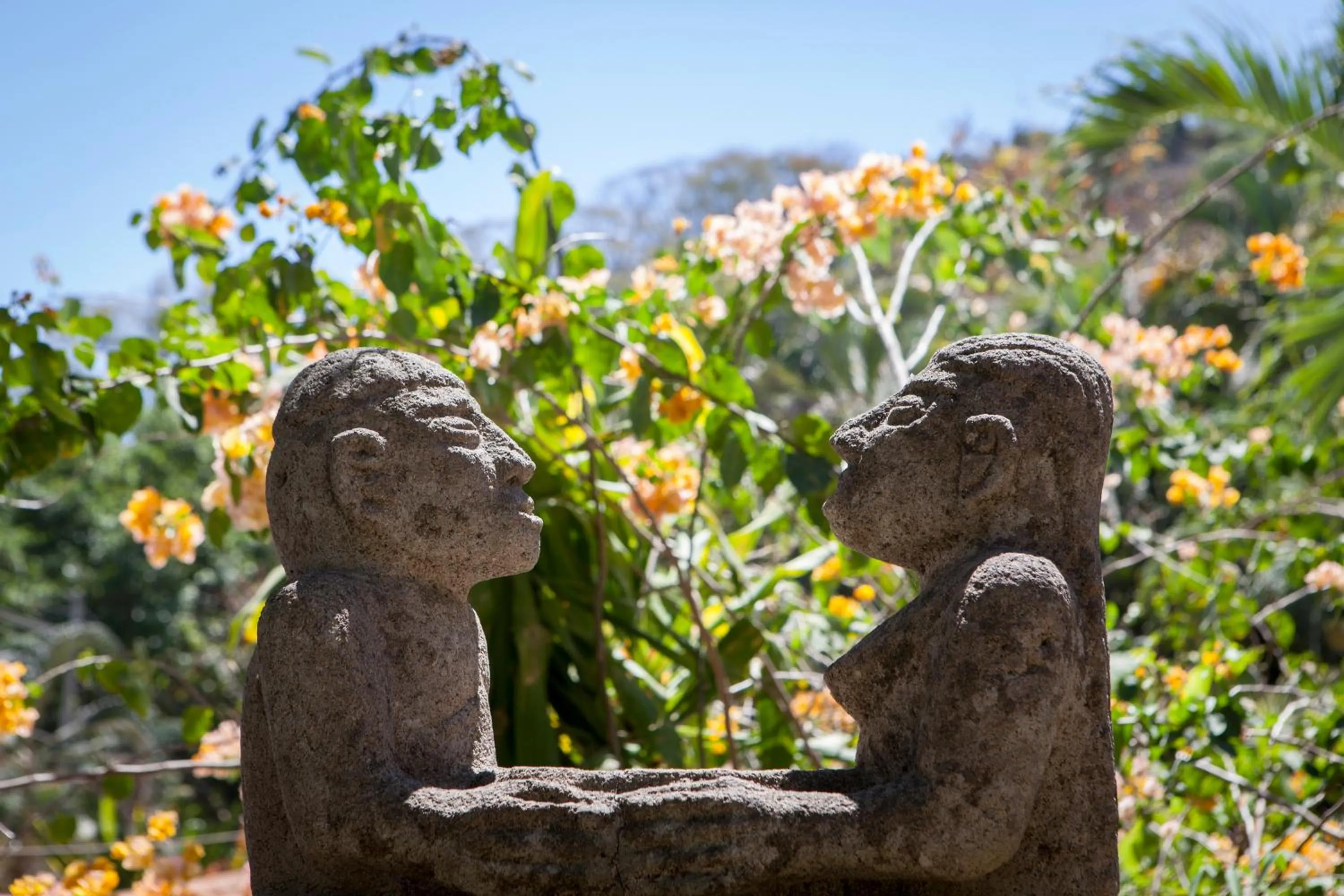 Patio in Hotel El Jardin