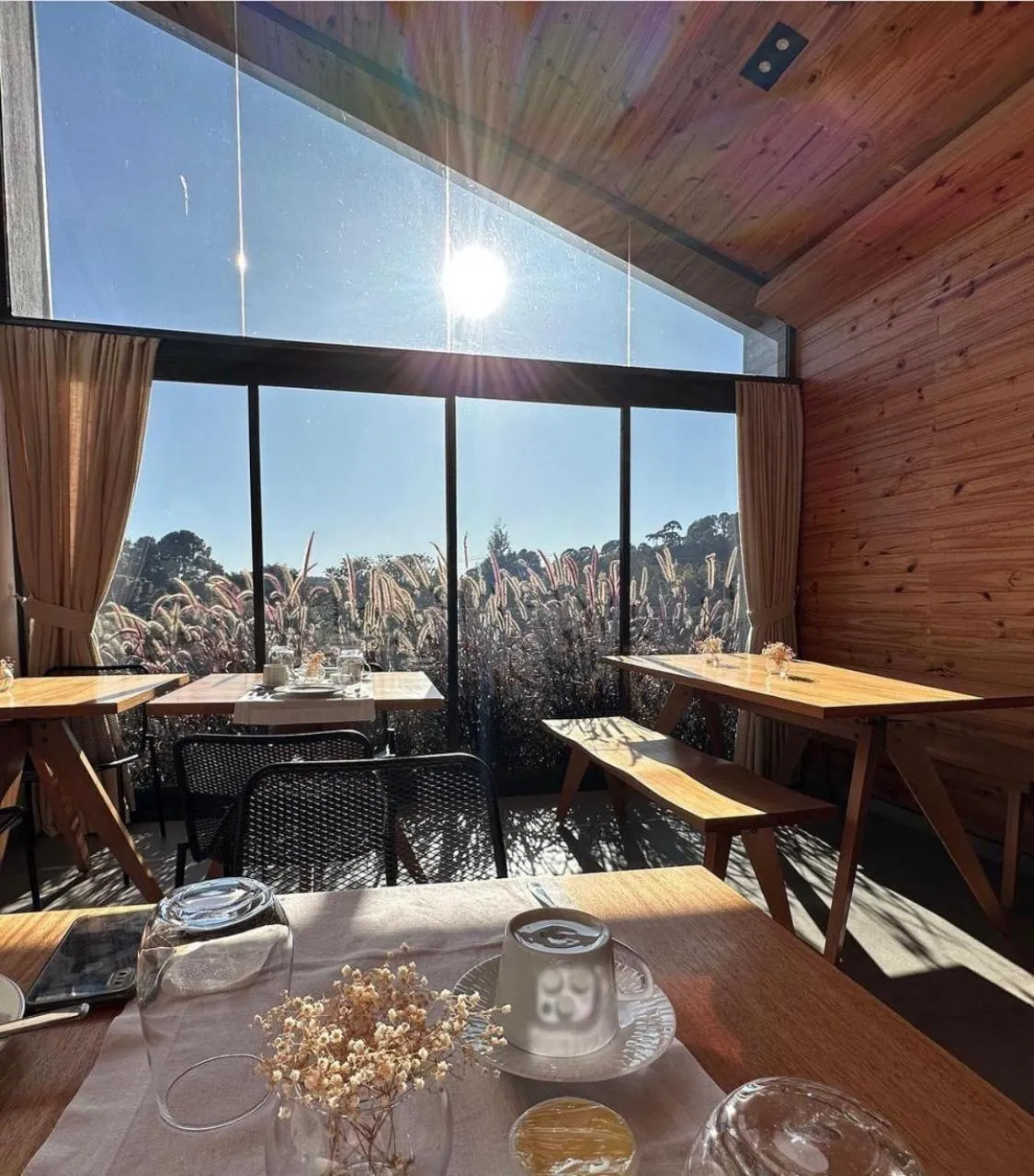 Hotel Pico 16