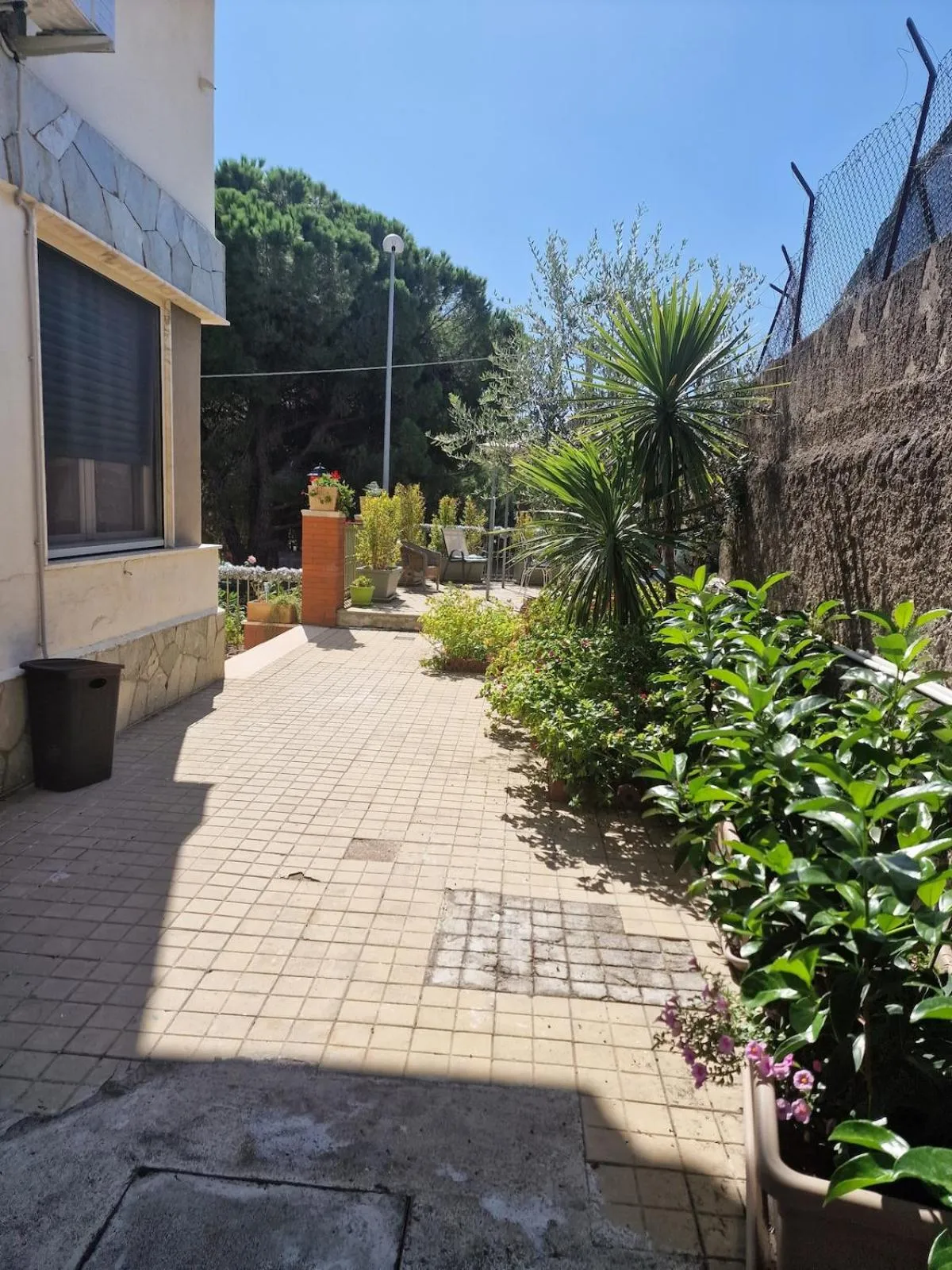 Garden in Althea Etna Garden