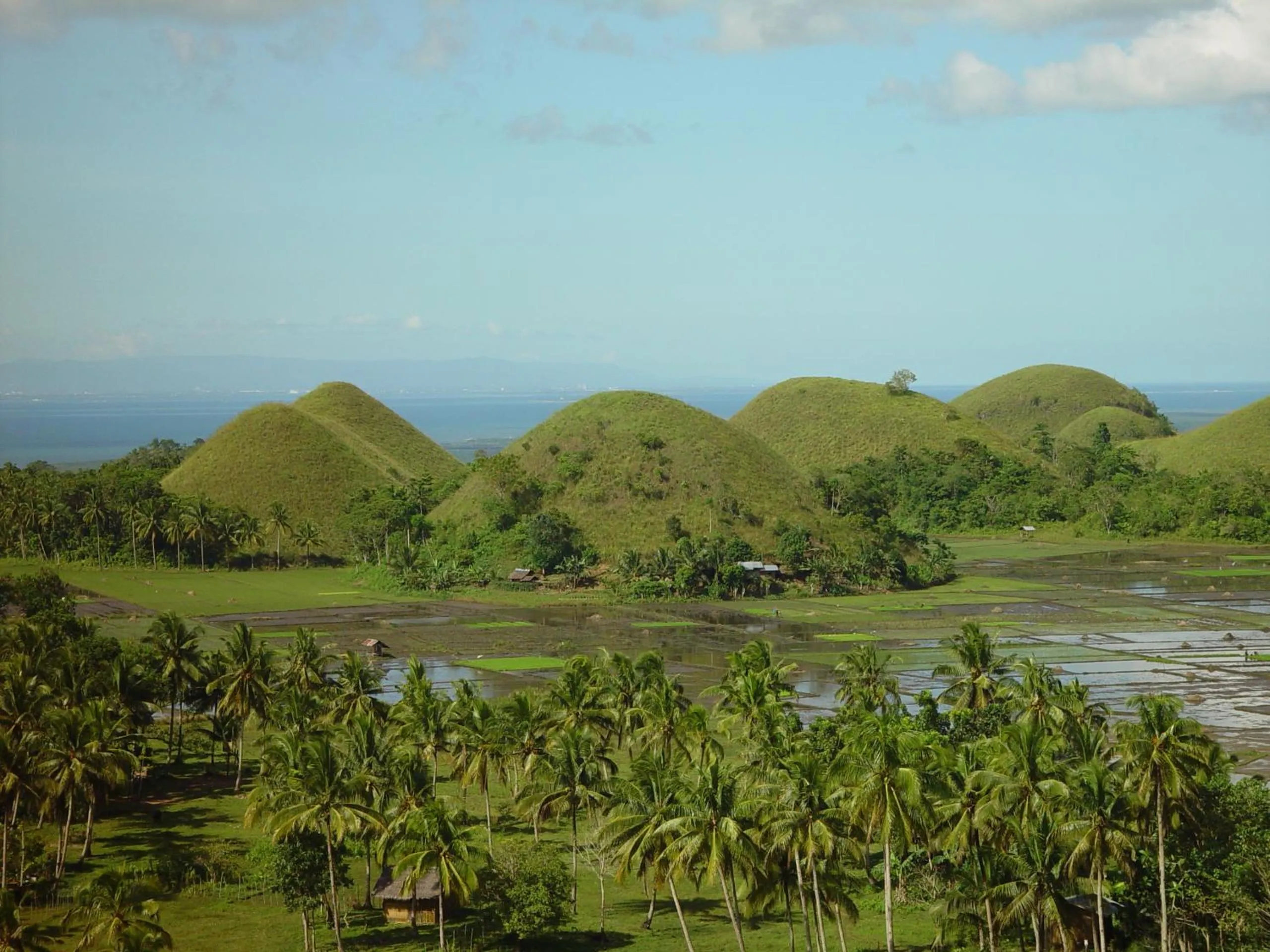 Area and facilities in Panglao Homes Resort & Villas