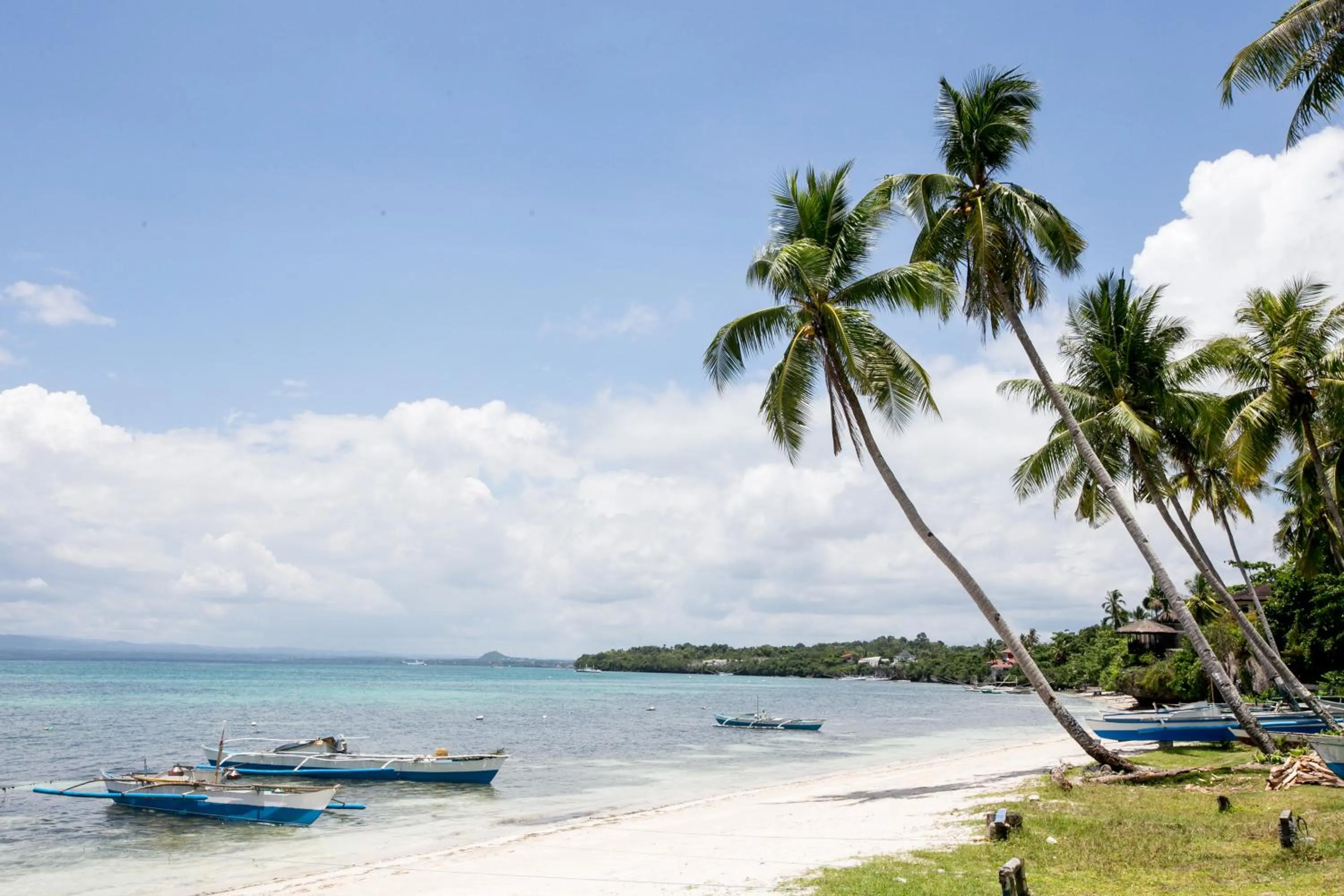 Beach in Natura Vista
