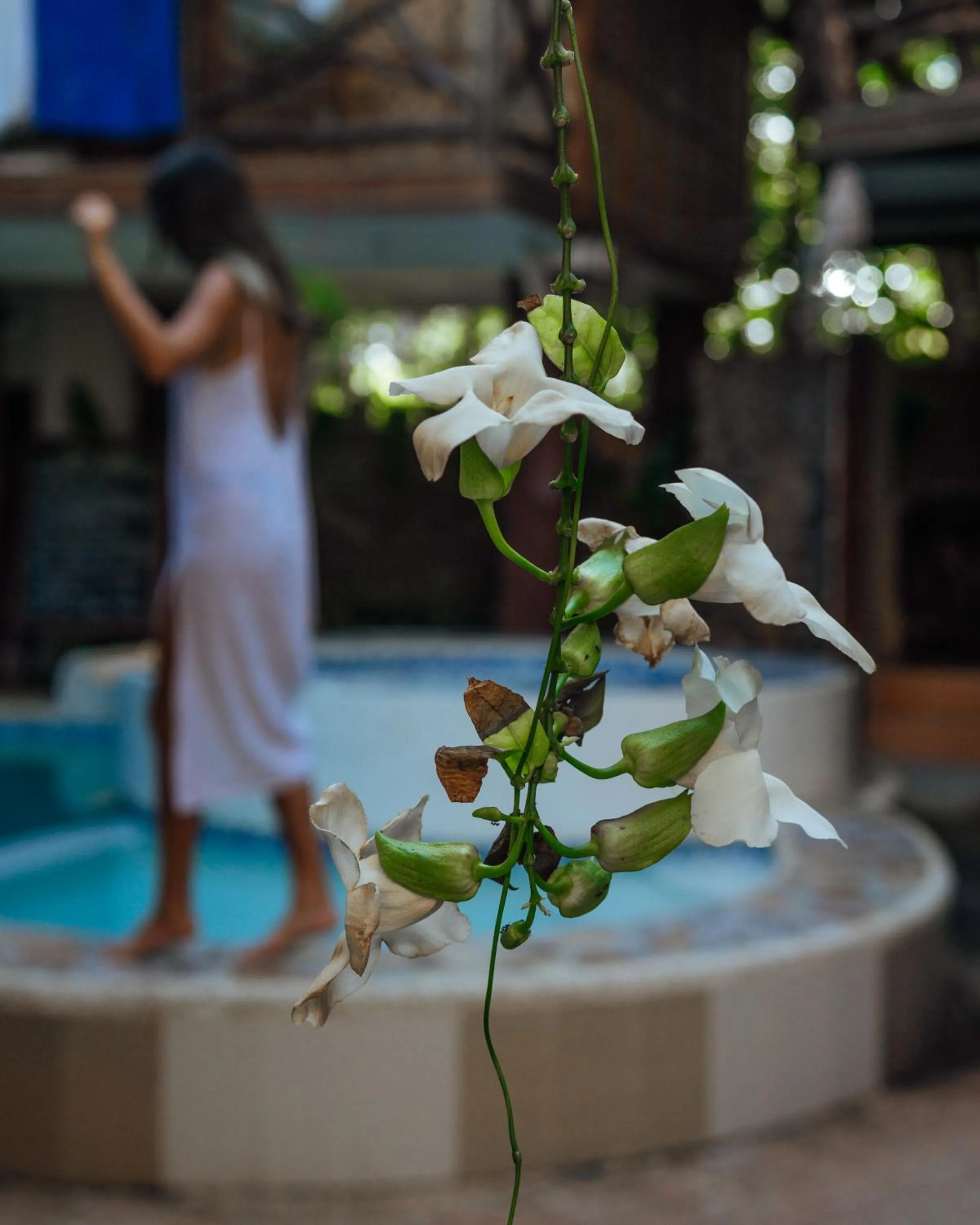 Swimming pool in Natura Vista
