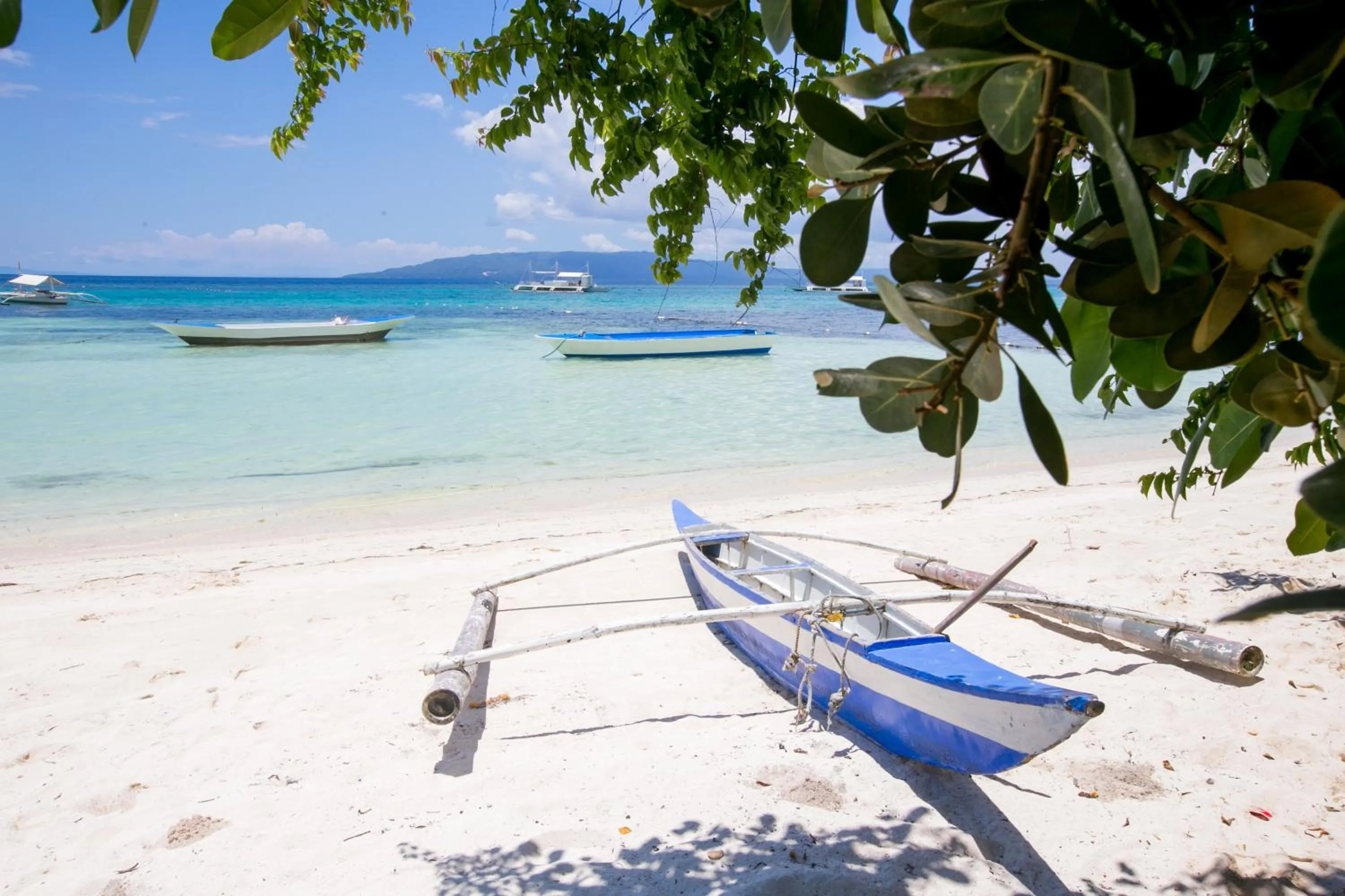 Beach in Natura Vista